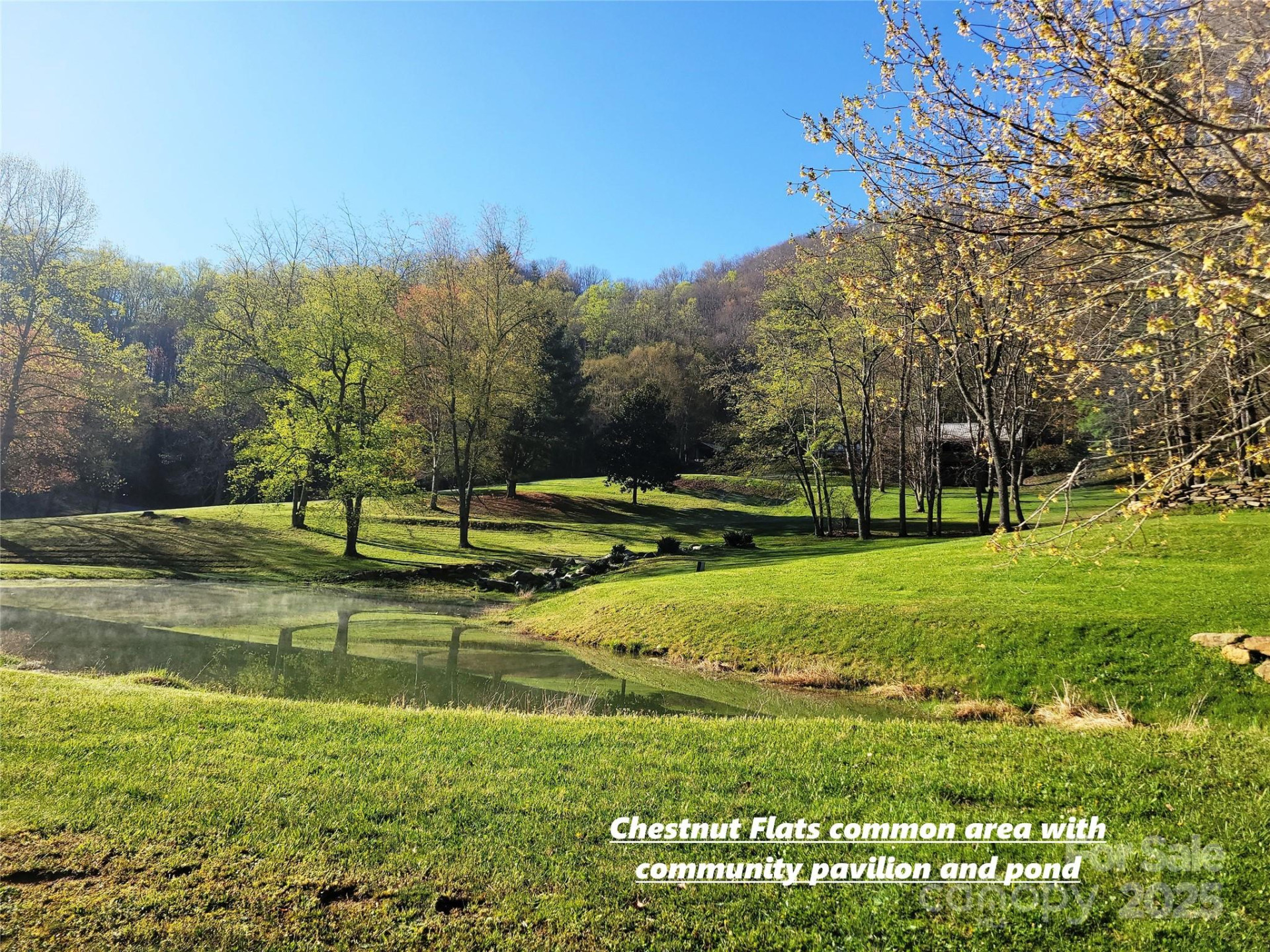 111 Digging Seng Trail #138 - Photo 23