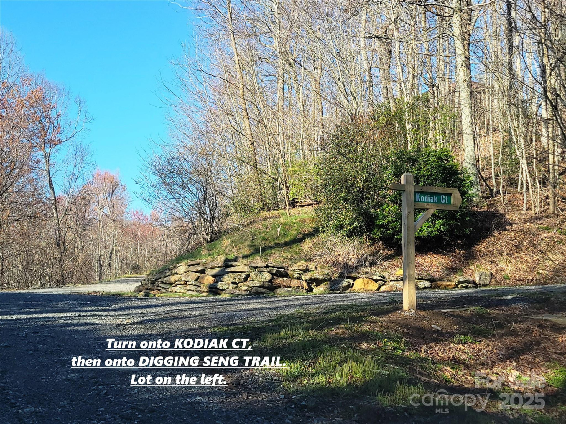 111 Digging Seng Trail #138 - Photo 25