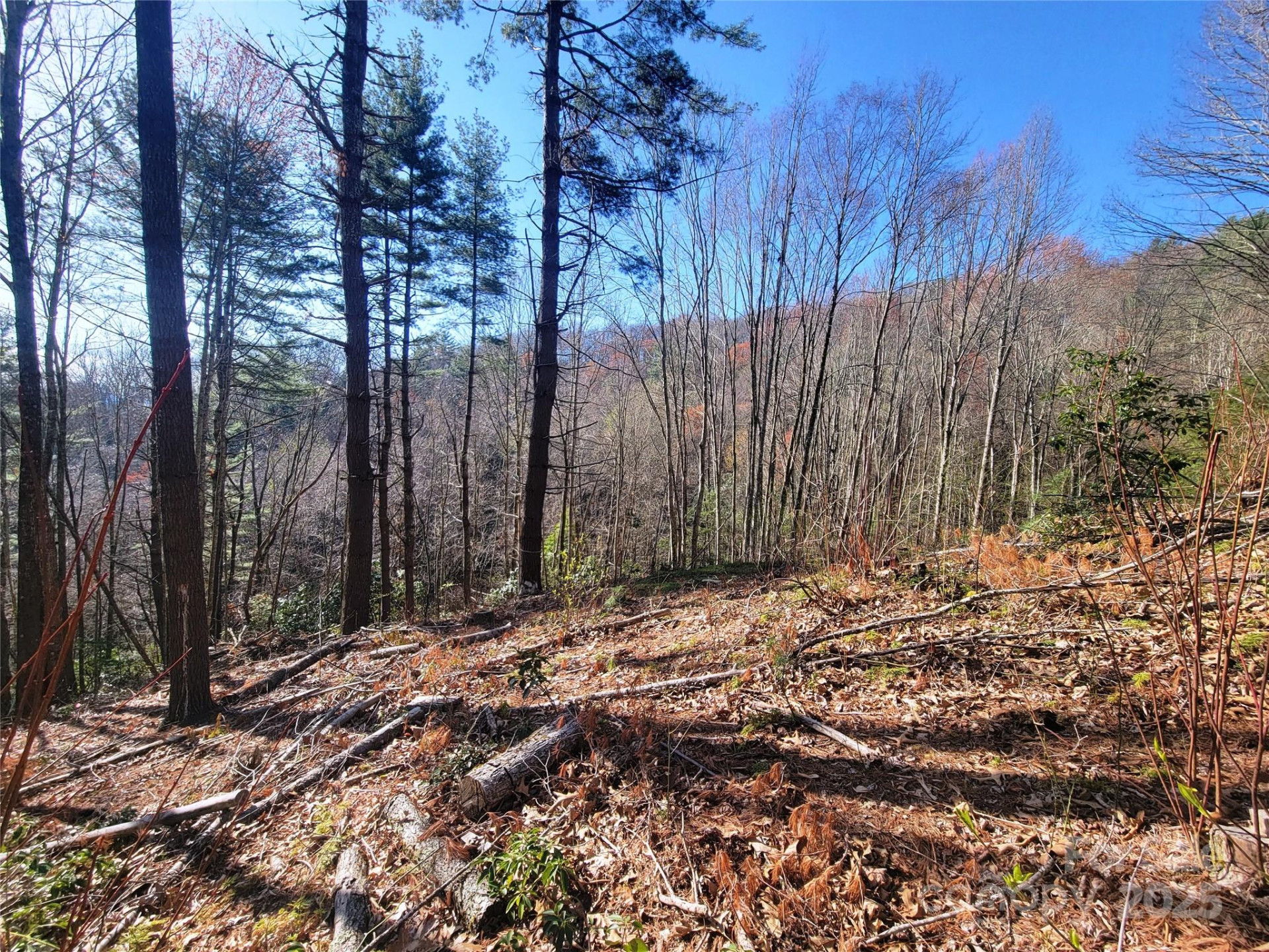 111 Digging Seng Trail #138 - Photo 8