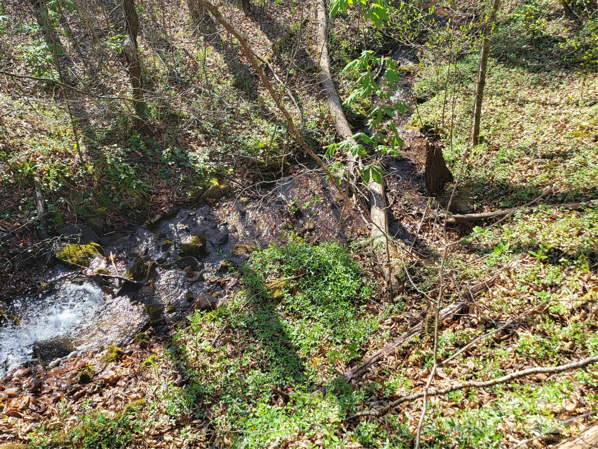 9999 Wayehutta Road - Photo 2