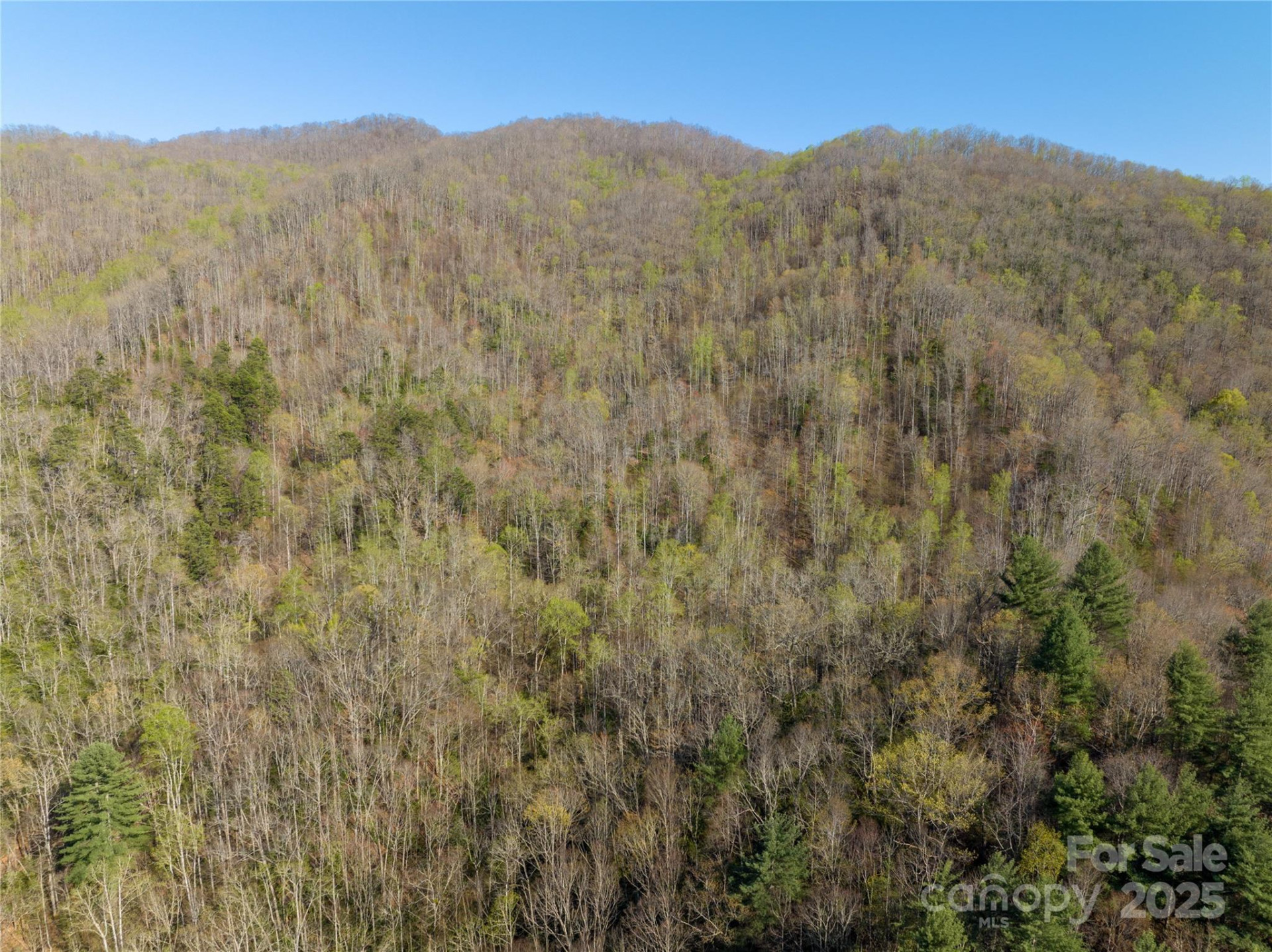 9999 Wayehutta Road - Photo 11