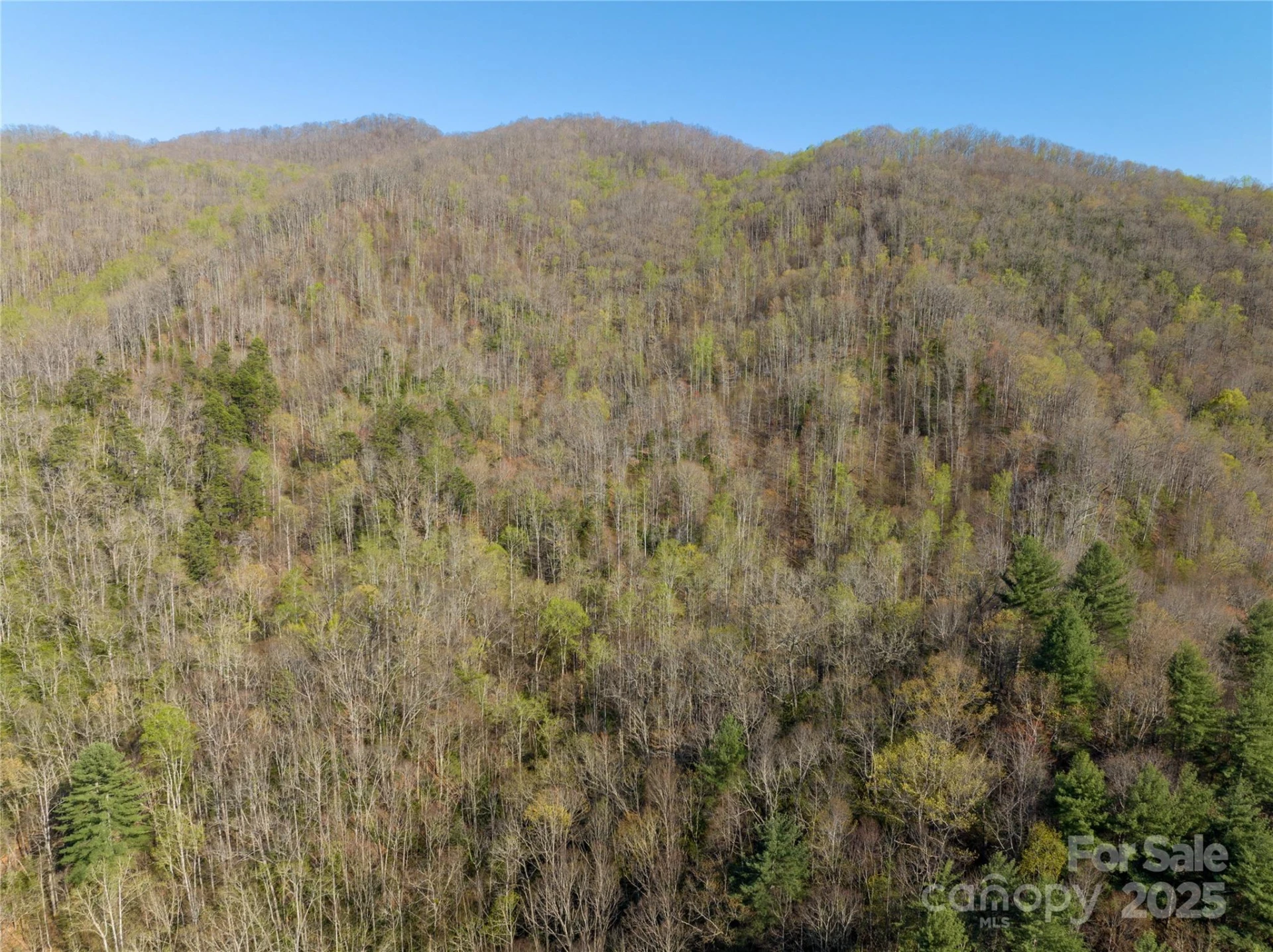 9999 Wayehutta Road - Photo 11