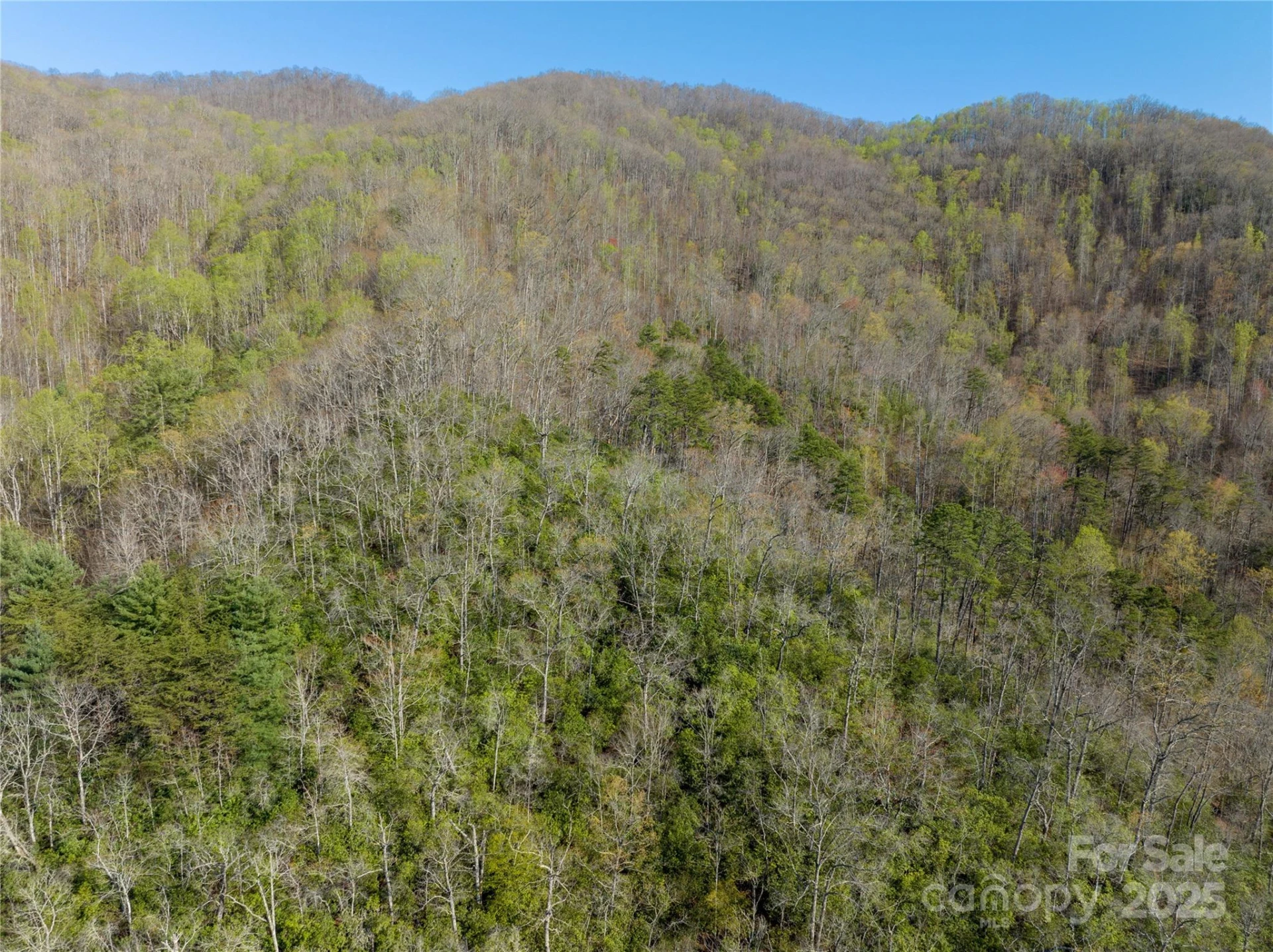 9999 Wayehutta Road - Photo 12