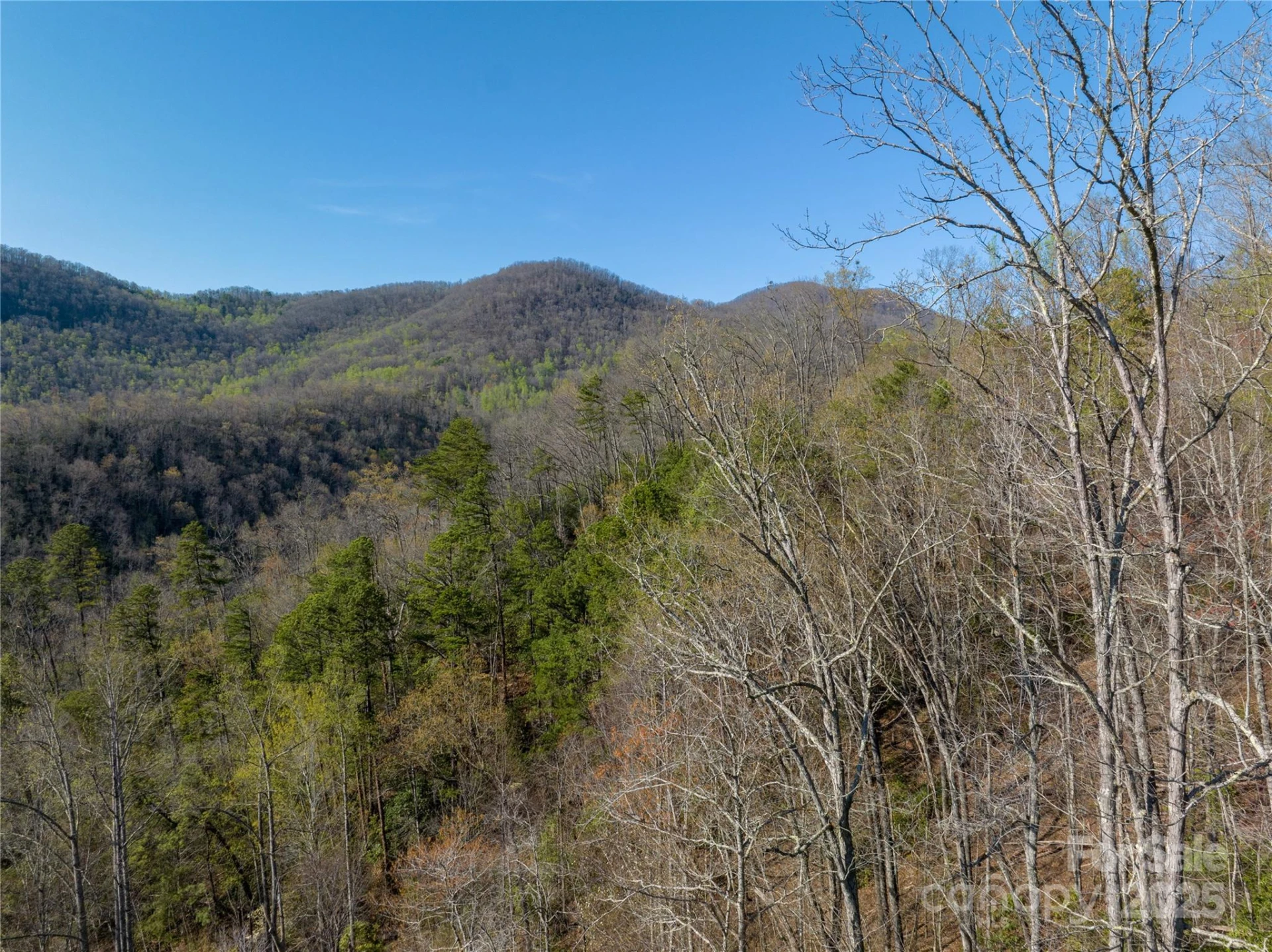 9999 Wayehutta Road - Photo 15