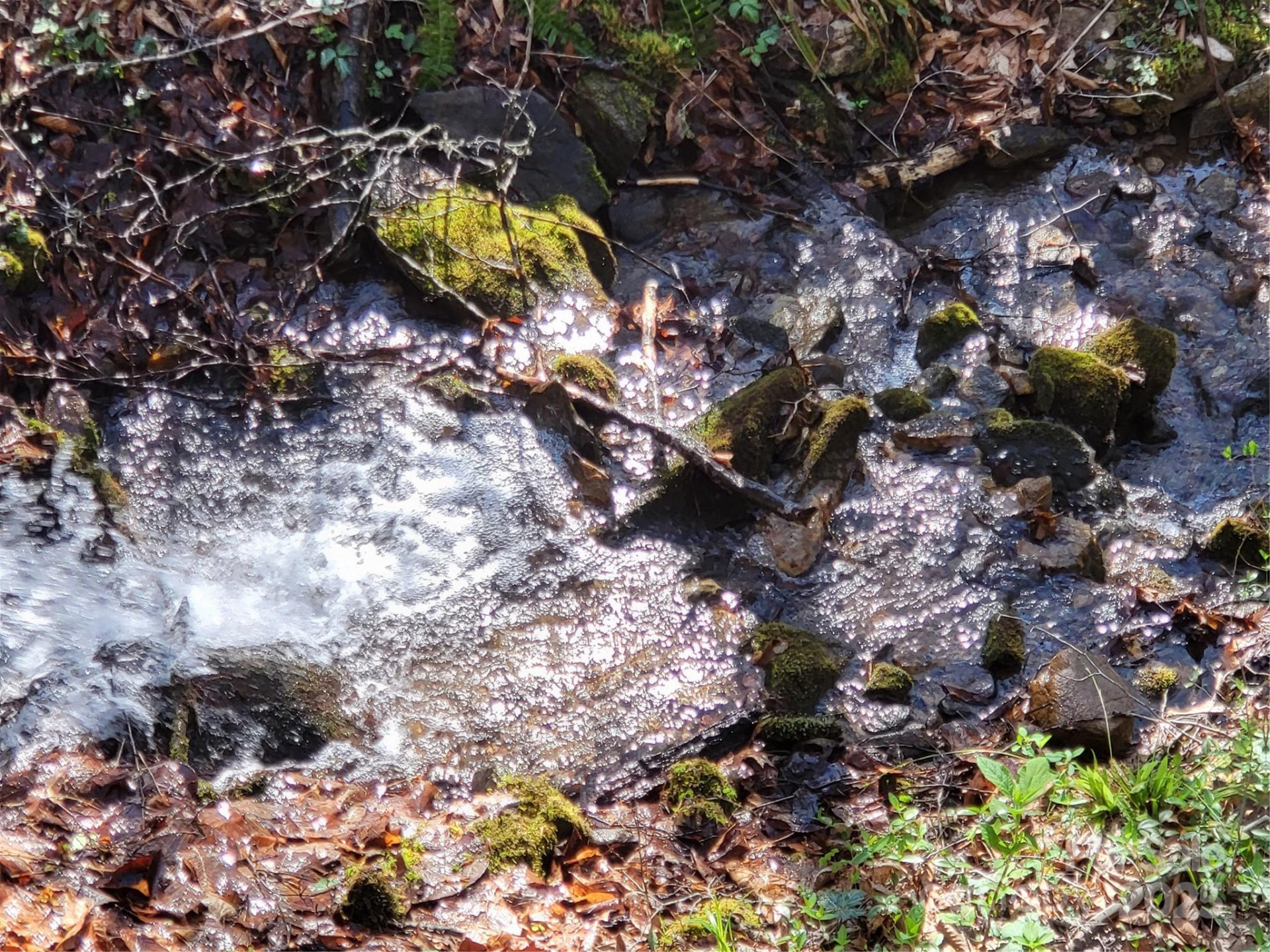 9999 Wayehutta Road - Photo 3