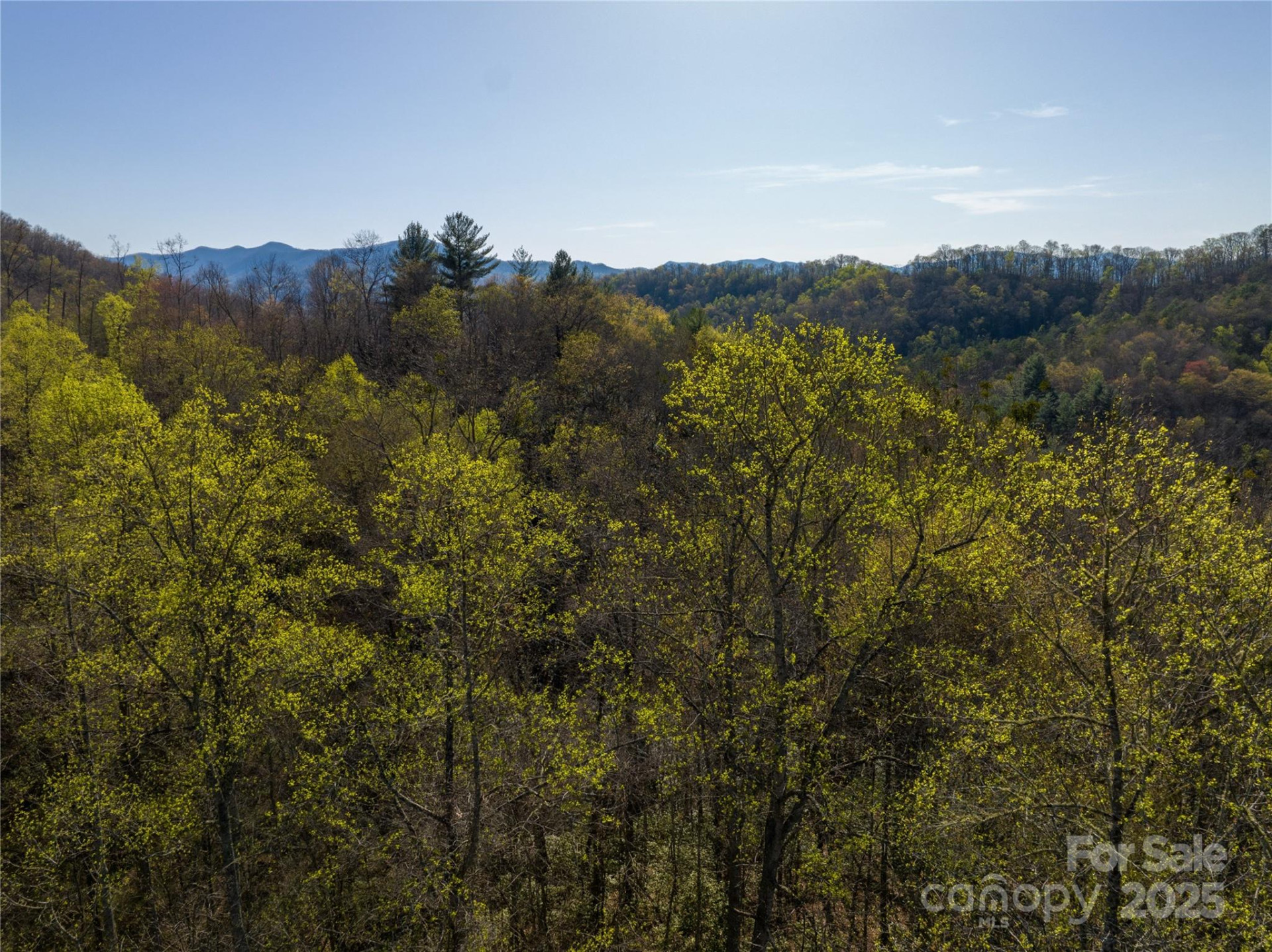 9999 Wayehutta Road - Photo 6