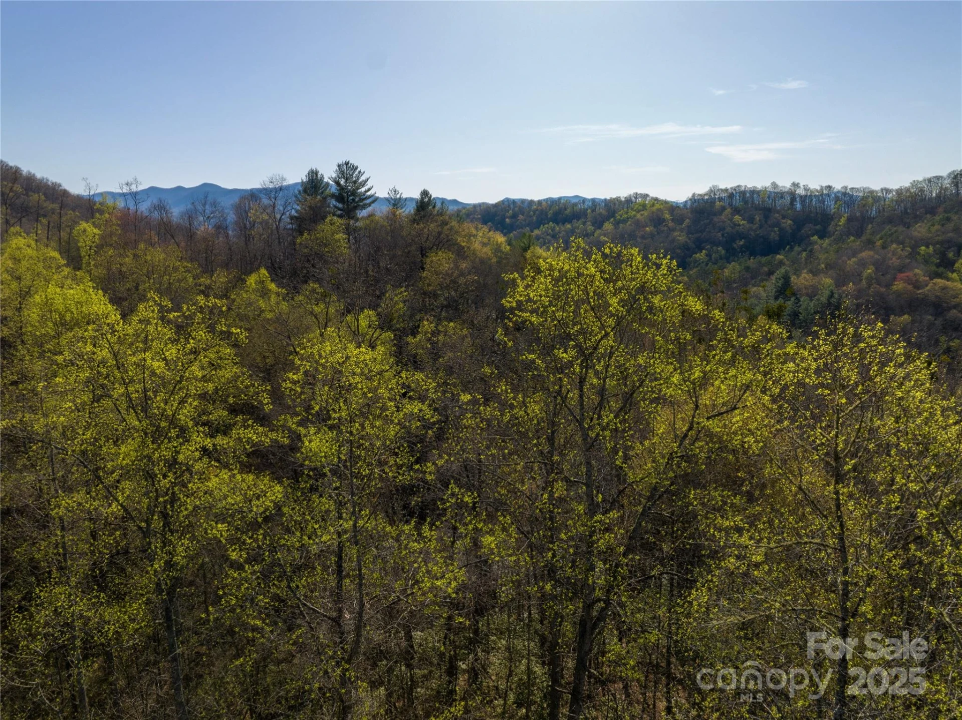 9999 Wayehutta Road - Photo 6