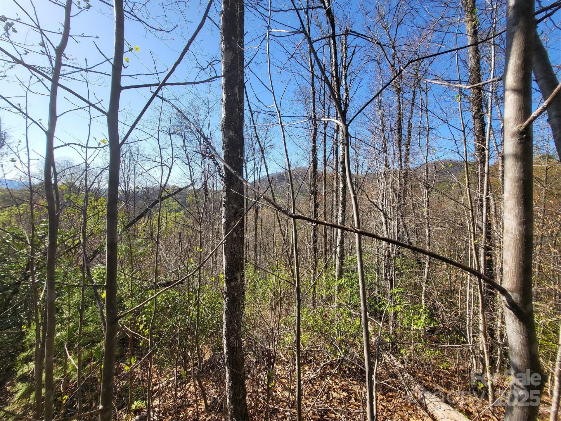 9999 Wayehutta Road - Photo 7