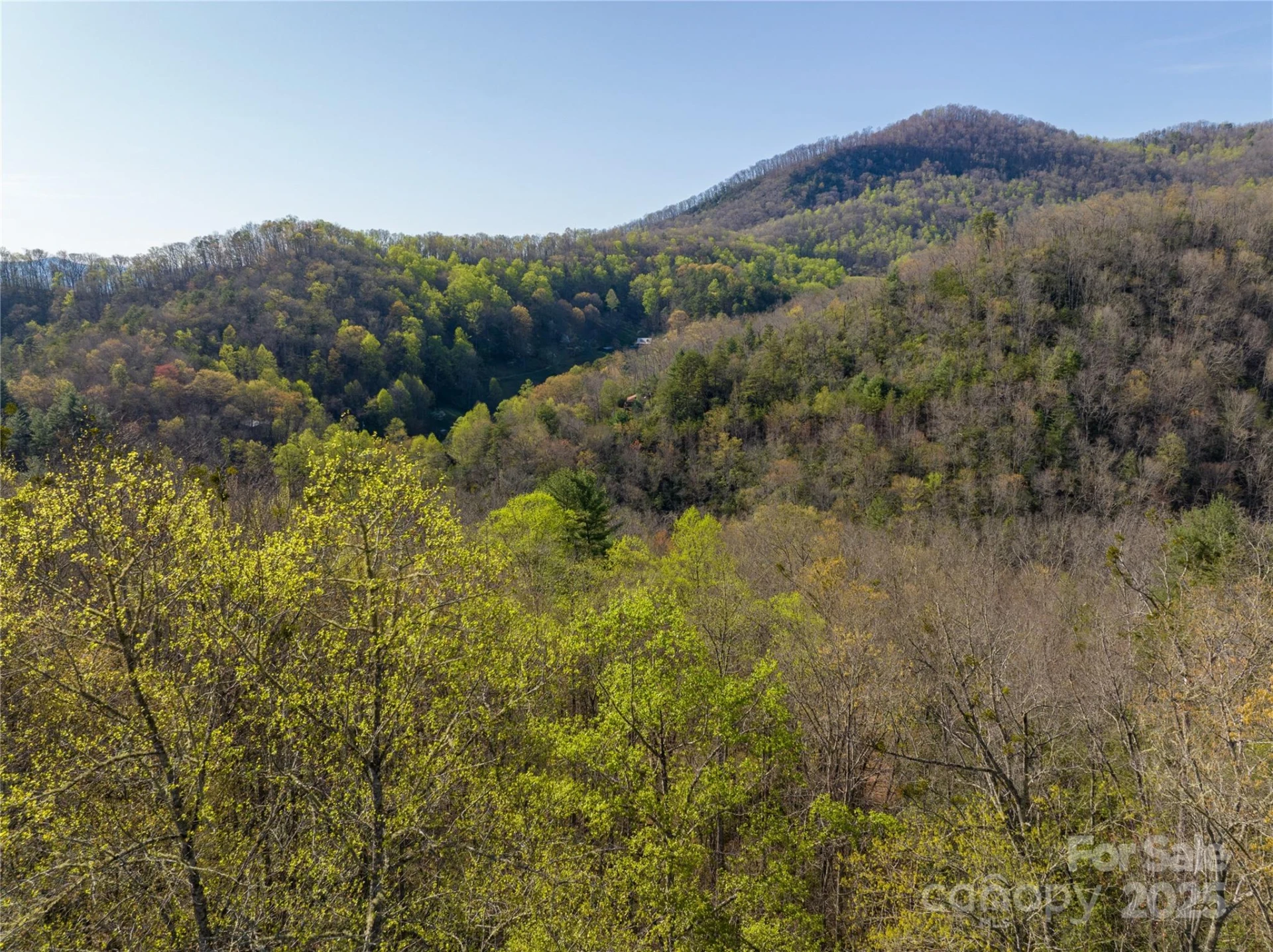 9999 Wayehutta Road - Photo 8