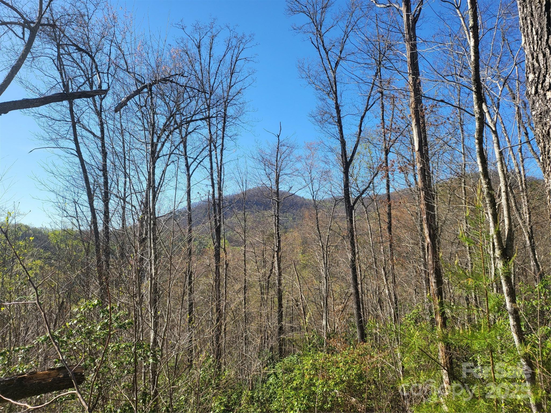 9999 Wayehutta Road - Photo 9