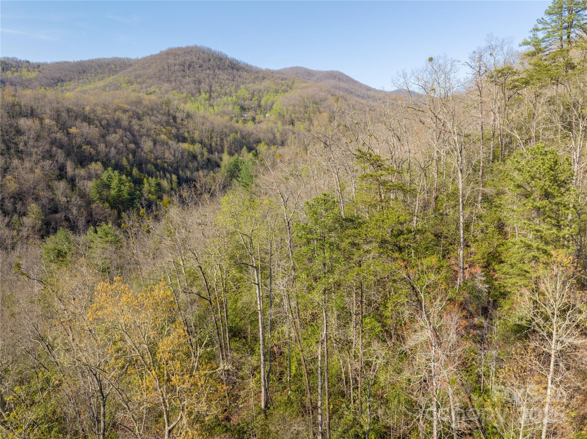 9999 Wayehutta Road - Photo 10