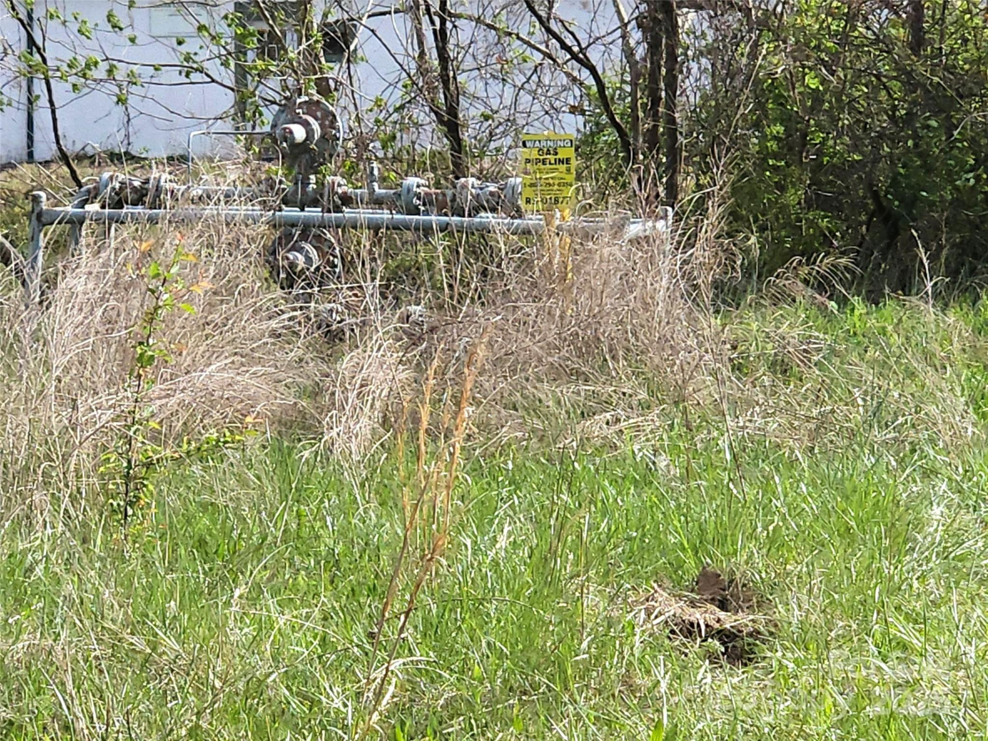 1032 7th Avenue - Photo 7