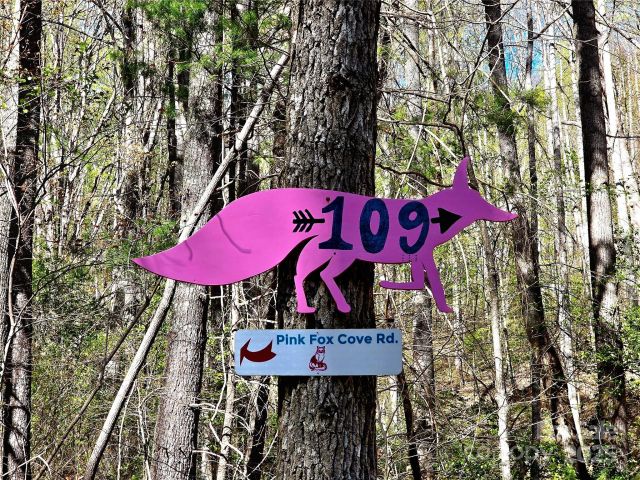 99999 Pink Fox Cove Road, Weaverville, NC, 28787