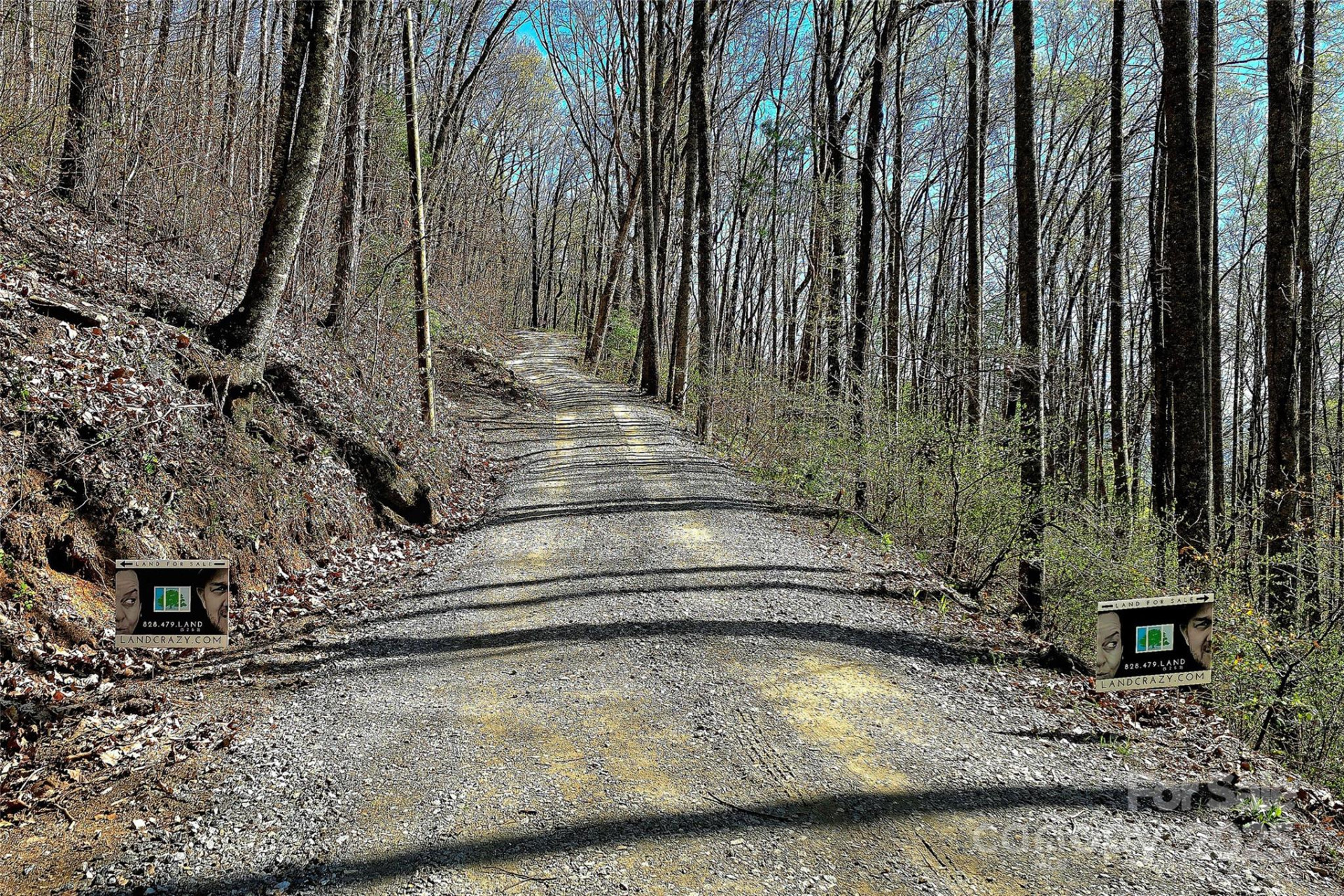 99999 Pink Fox Cove Road - Photo 2