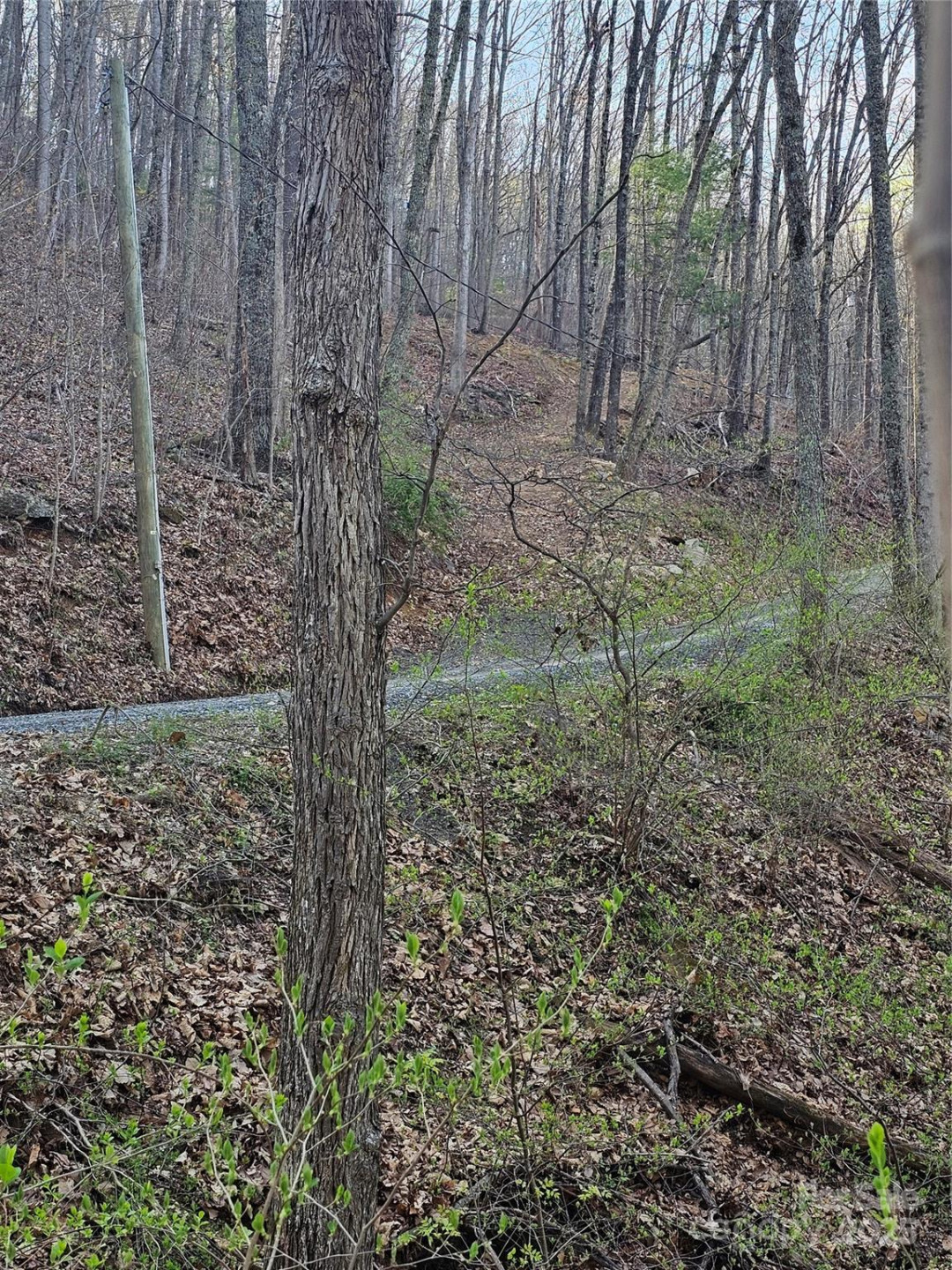 99999 Pink Fox Cove Road - Photo 11