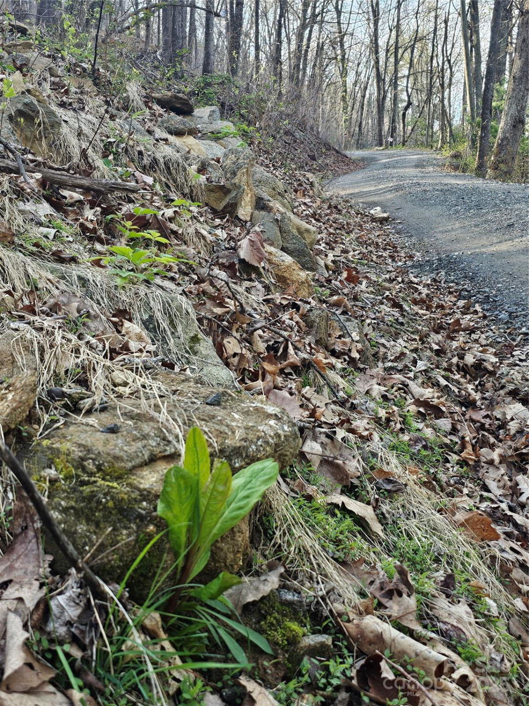 99999 Pink Fox Cove Road - Photo 12