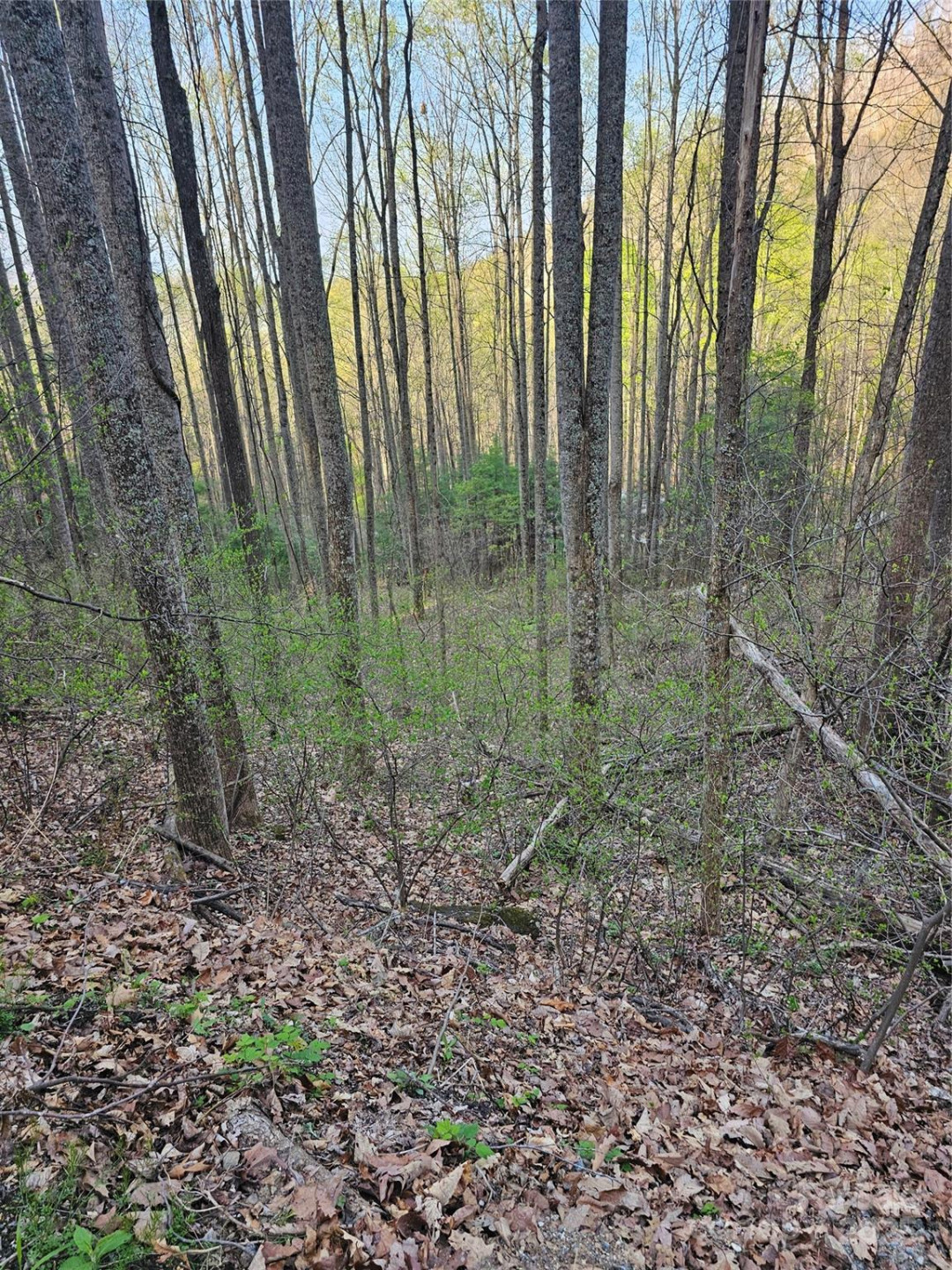 99999 Pink Fox Cove Road - Photo 3