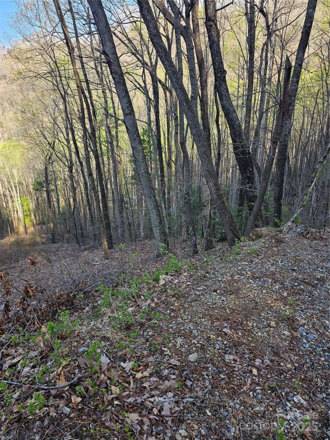 99999 Pink Fox Cove Road - Photo 4