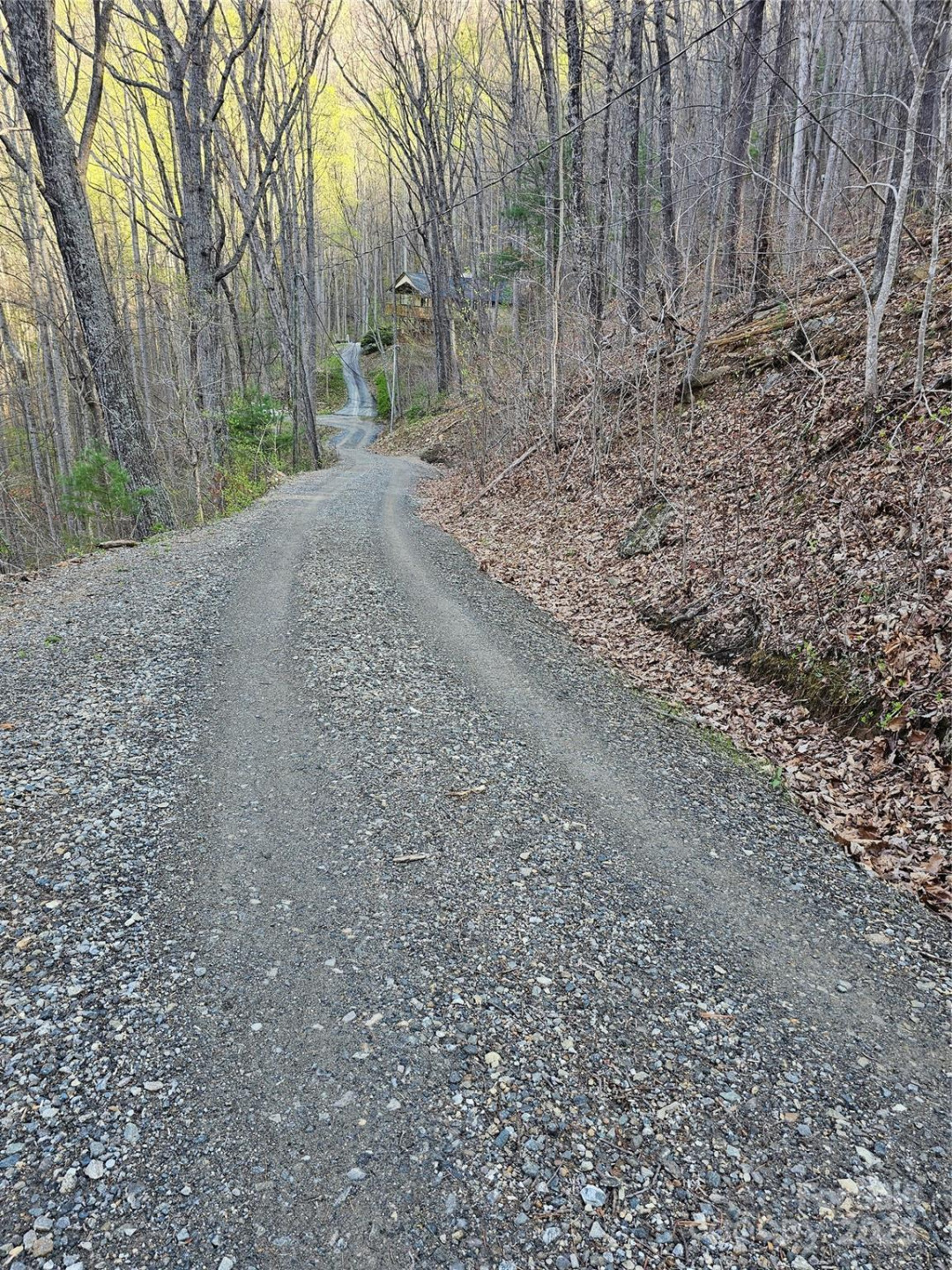 99999 Pink Fox Cove Road - Photo 5