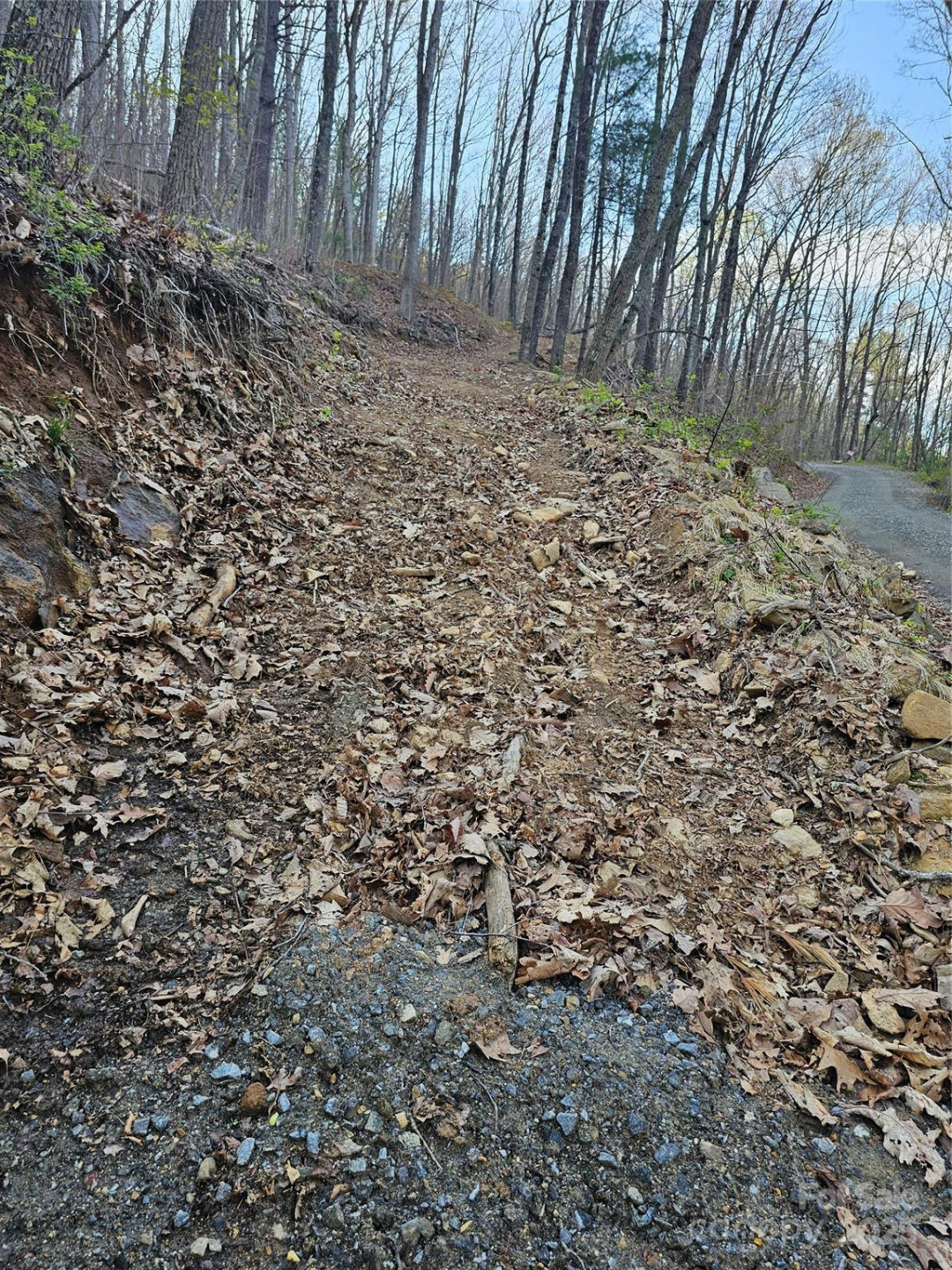 99999 Pink Fox Cove Road - Photo 6