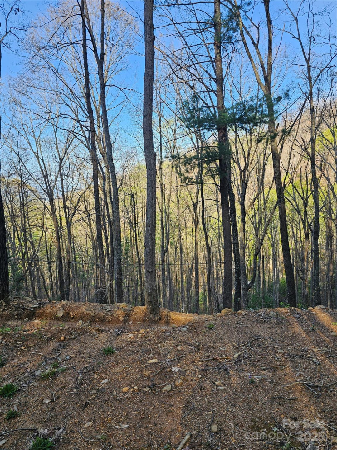 99999 Pink Fox Cove Road - Photo 9