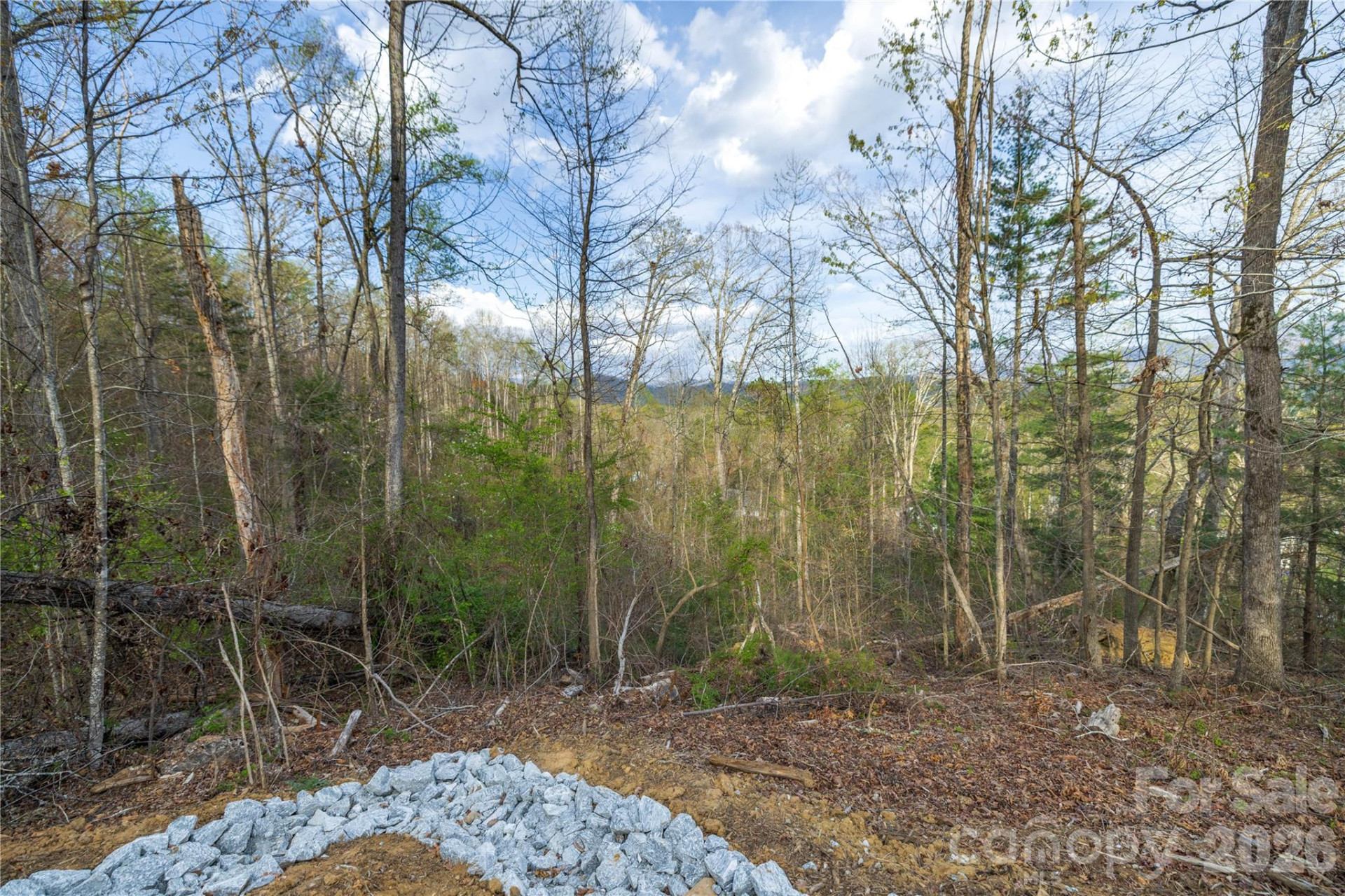Lot 1 Wake Robin Way - Photo 31