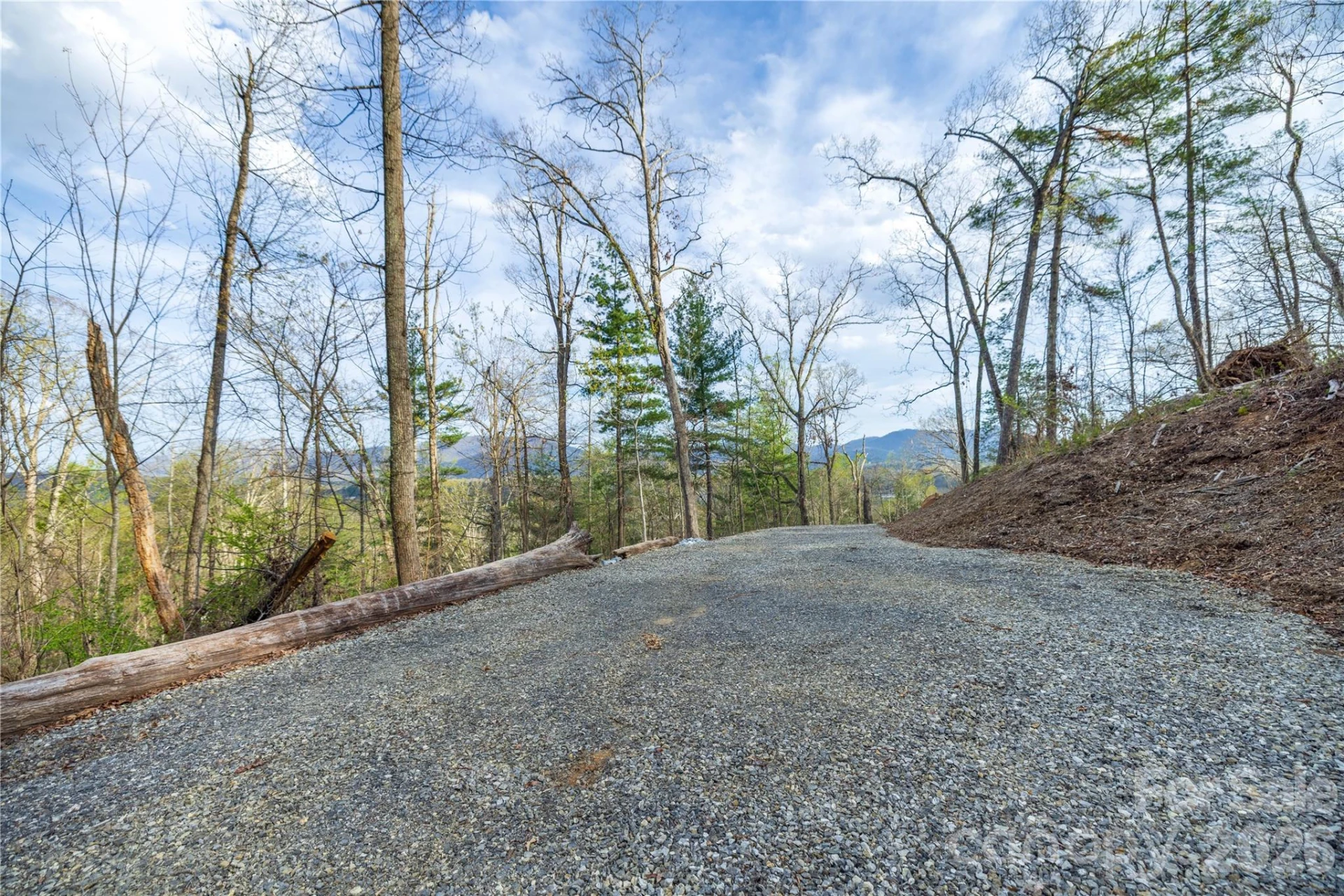 Lot 1 Wake Robin Way - Photo 17