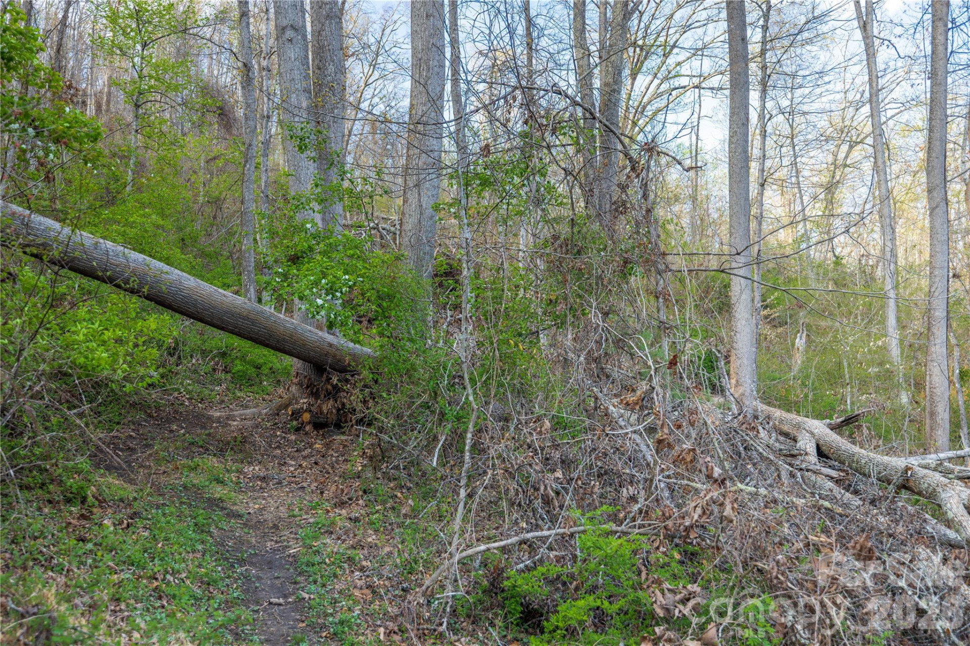 Lot 1 Wake Robin Way - Photo 37