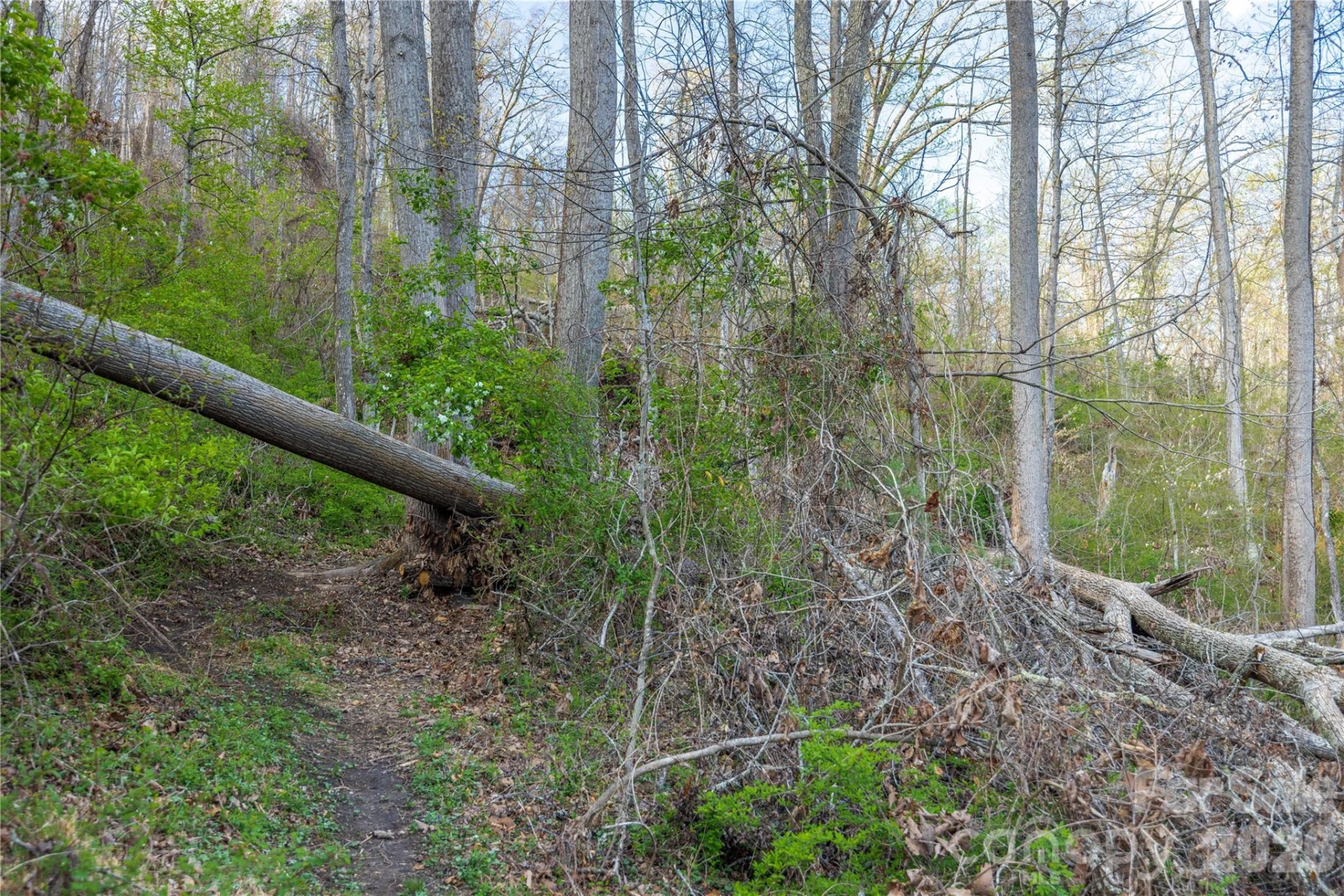 Lot 1 Wake Robin Way - Photo 19