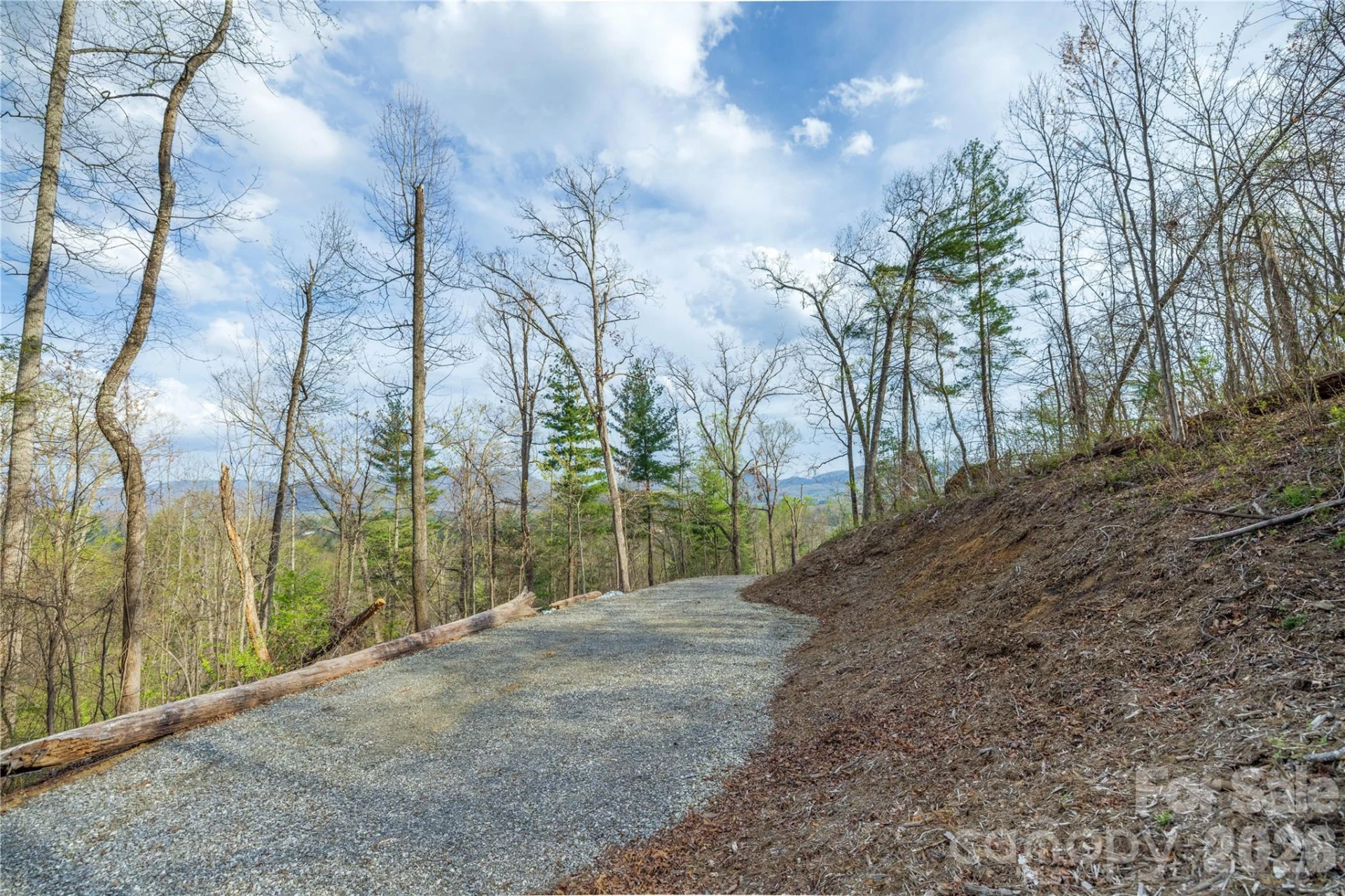 Lot 1 Wake Robin Way - Photo 21