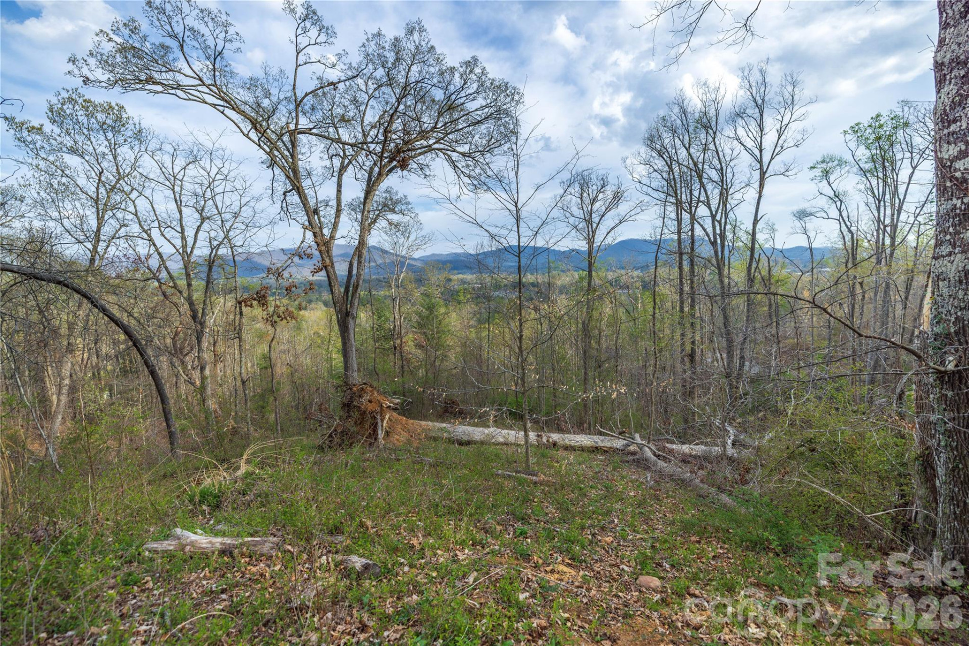 Lot 1 Wake Robin Way - Photo 45