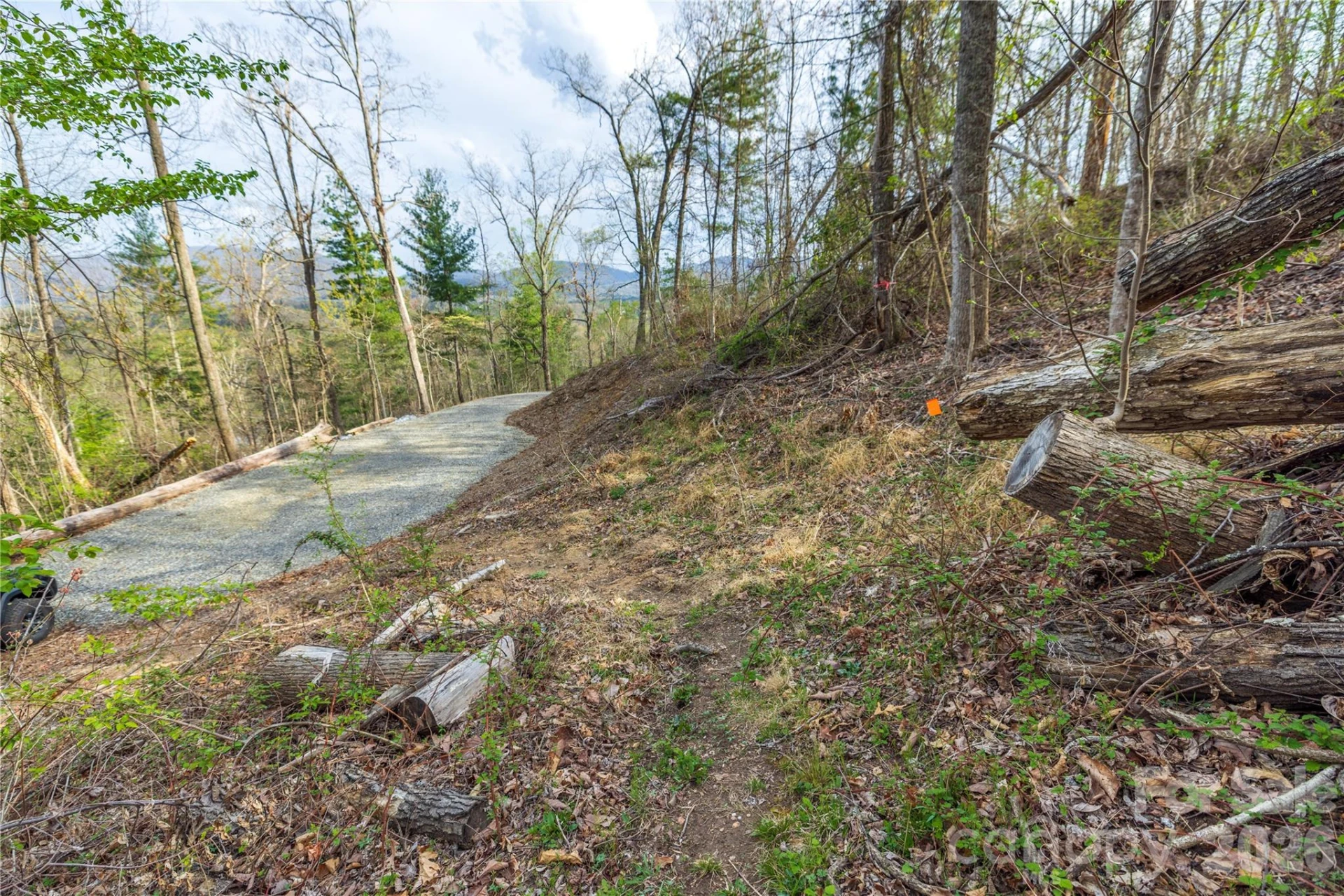 Lot 1 Wake Robin Way - Photo 26