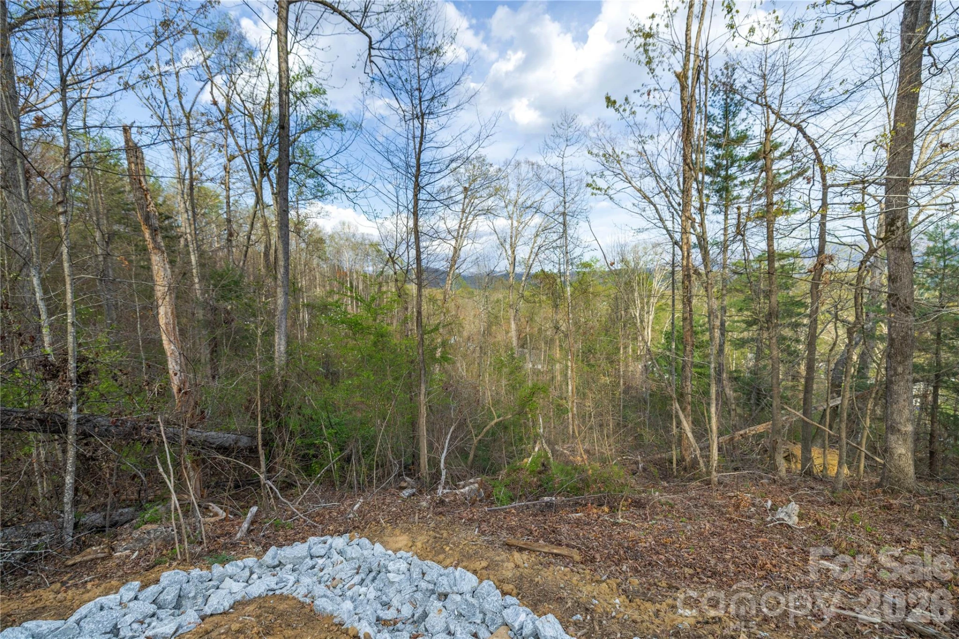 Lot 2 Wake Robin Way - Photo 16
