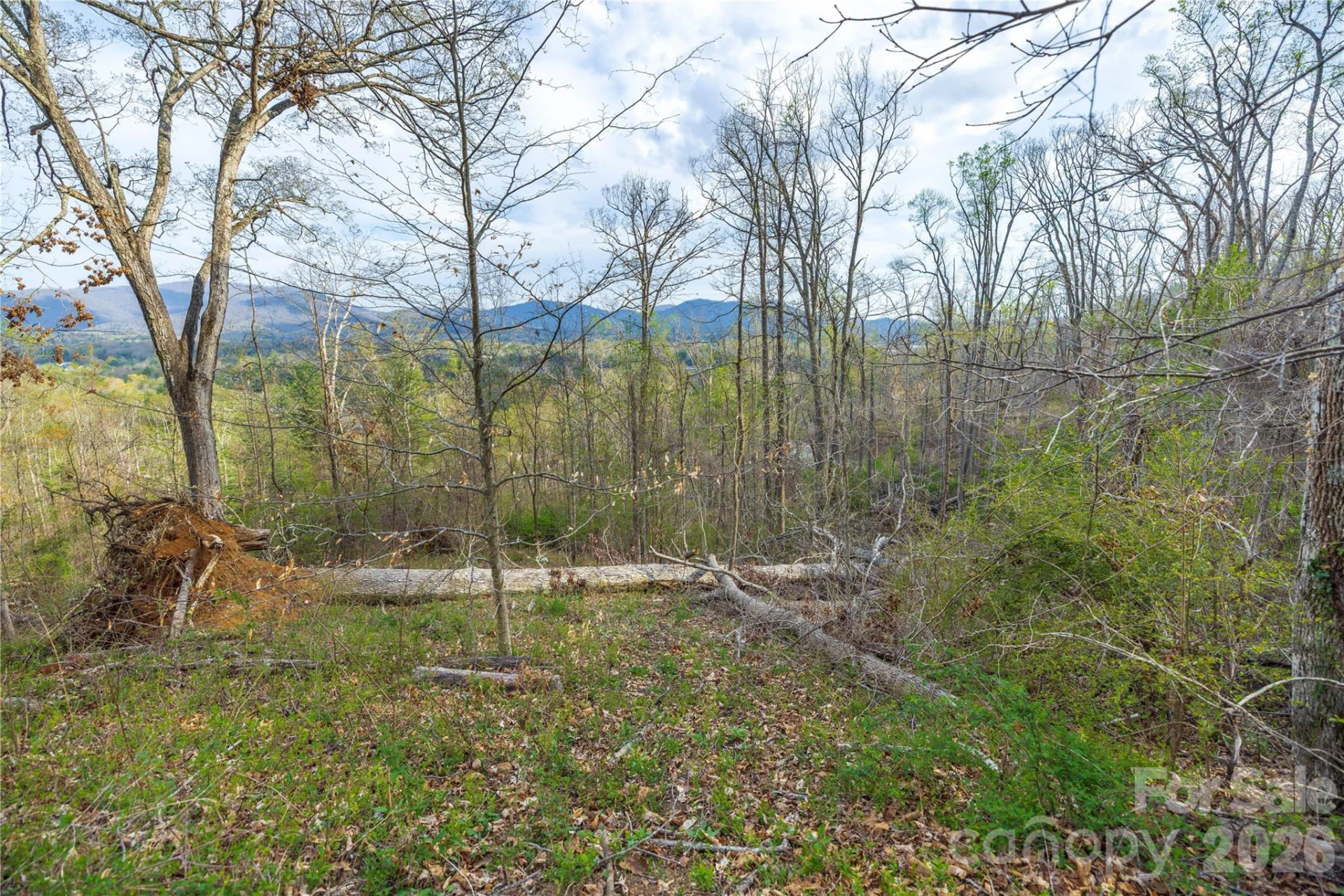 Lot 2 Wake Robin Way - Photo 20