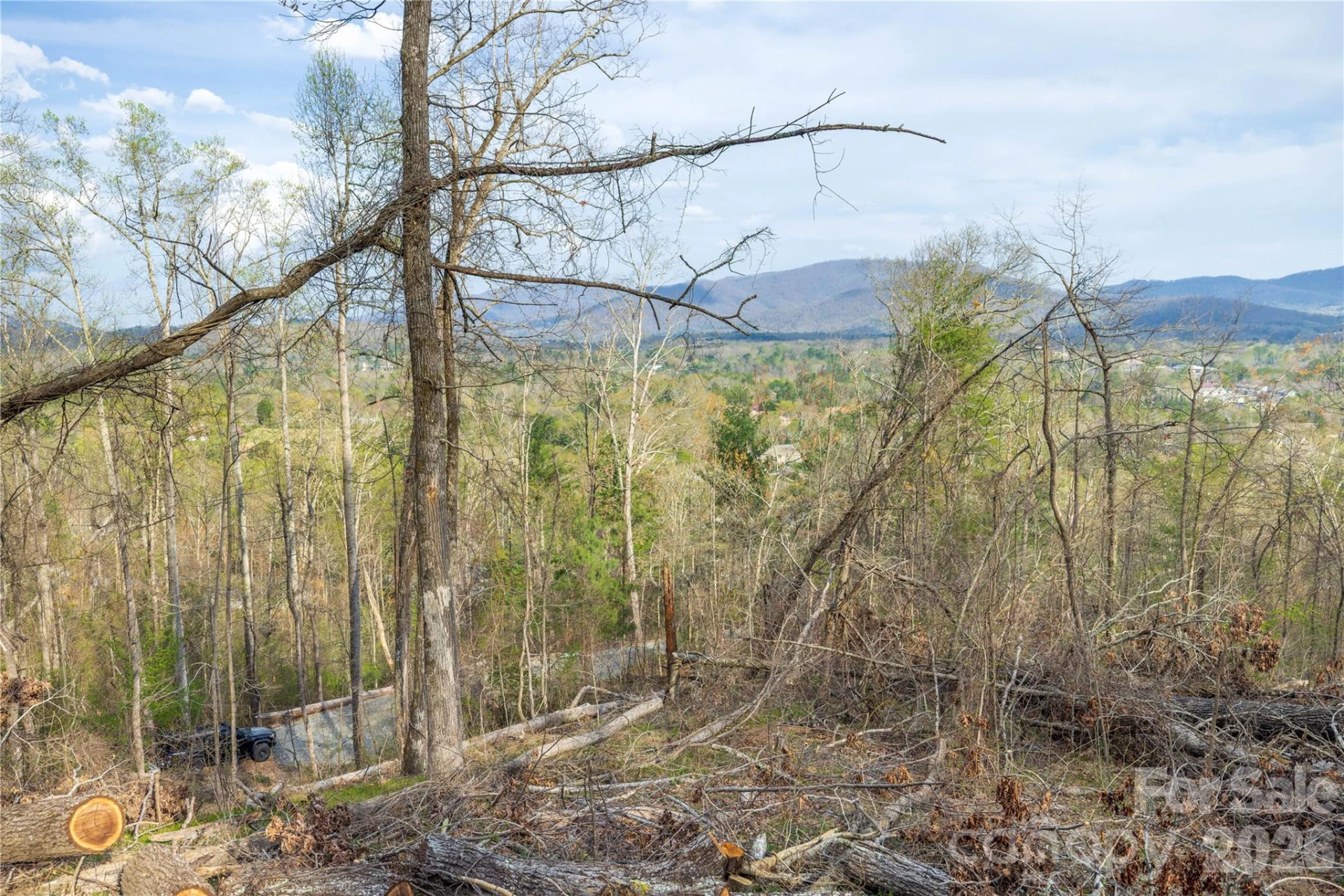 Lot 2 Wake Robin Way - Photo 22