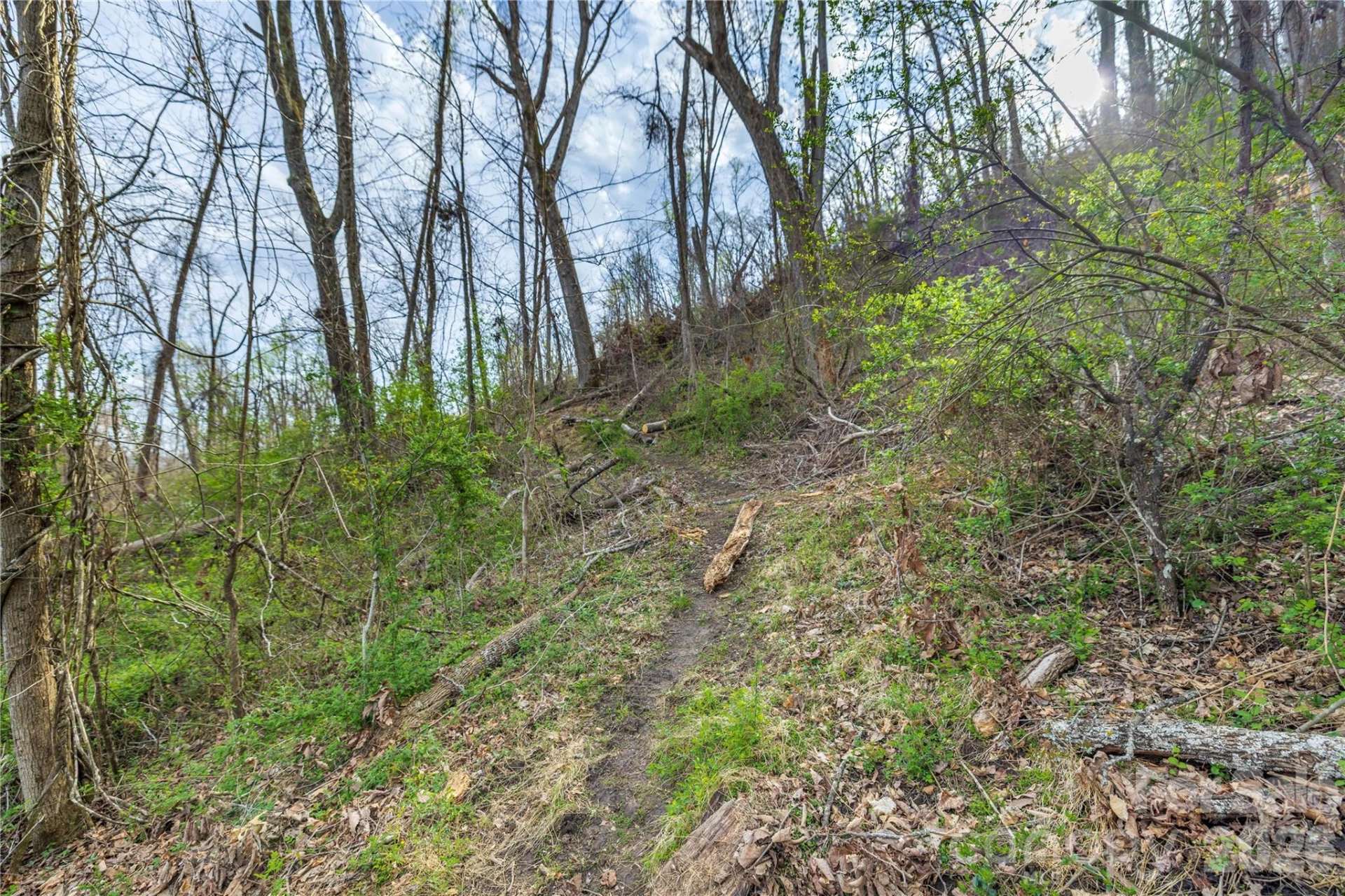 Lot 2 Wake Robin Way - Photo 24