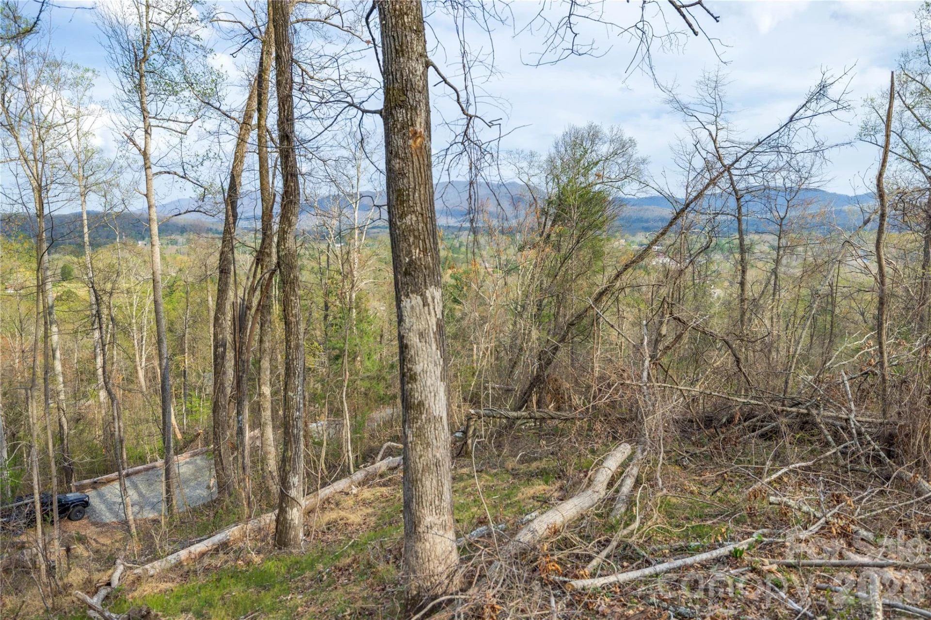 Lot 2 Wake Robin Way - Photo 25