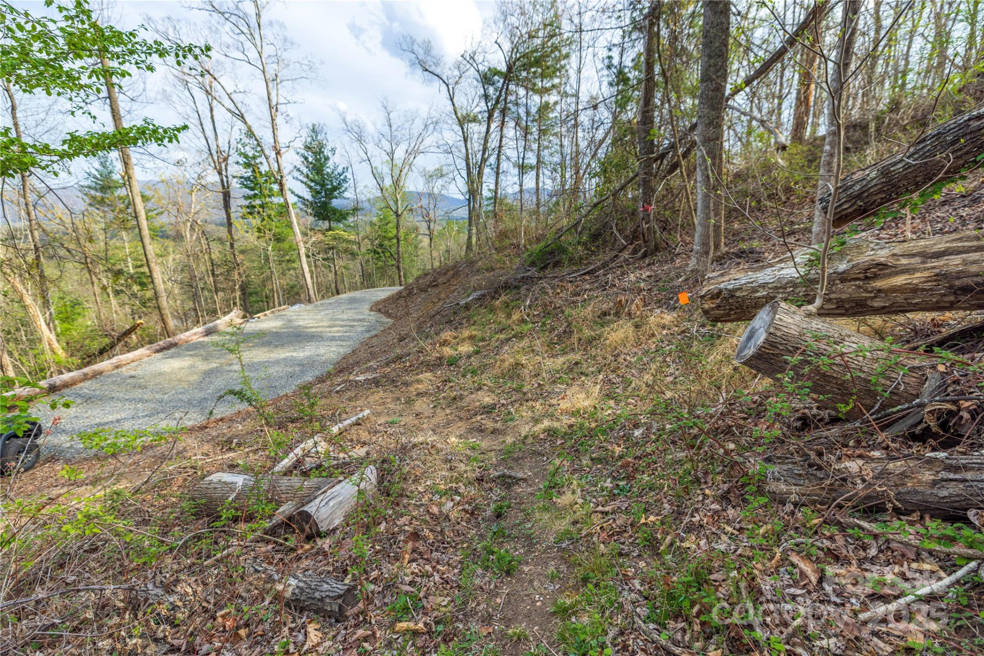 Lot 2 Wake Robin Way - Photo 53