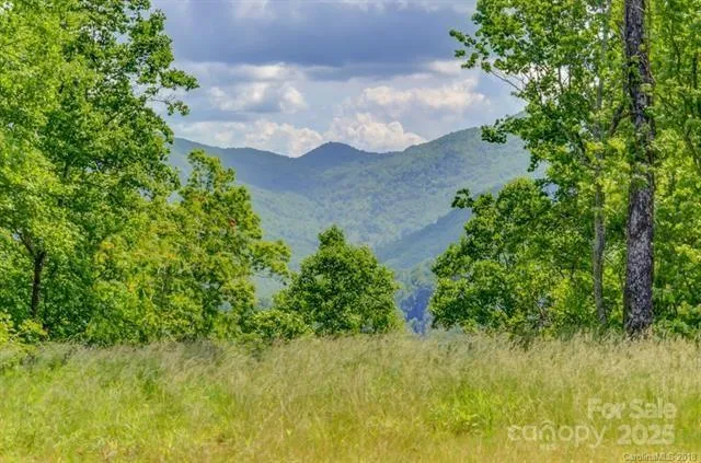 Lot 69 Whisper Mountain Drive, Leicester, NC, 28748