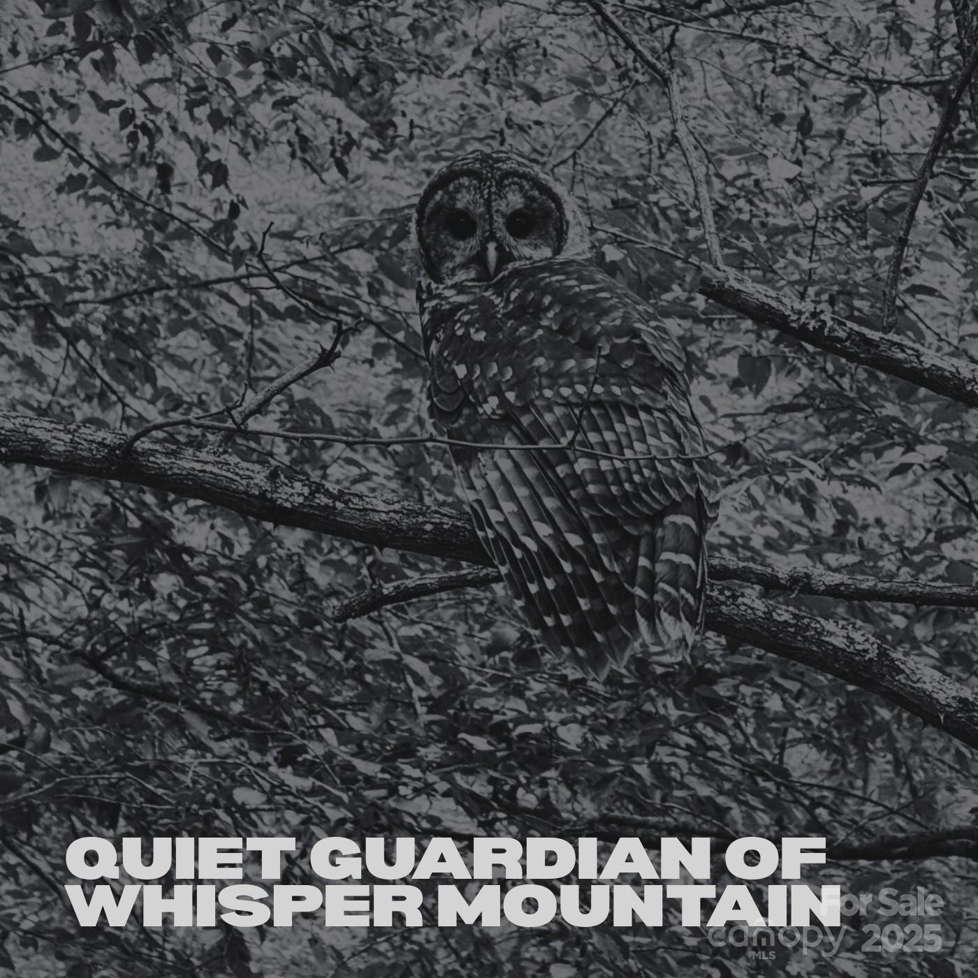 Lot 69 Whisper Mountain Drive - Photo 26