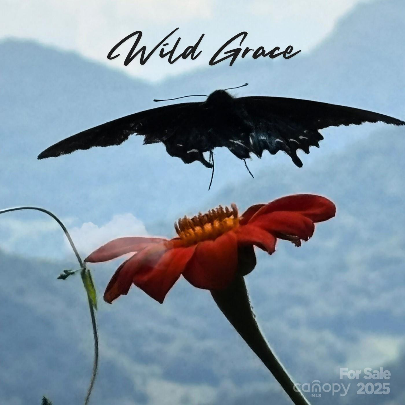 Lot 69 Whisper Mountain Drive - Photo 29