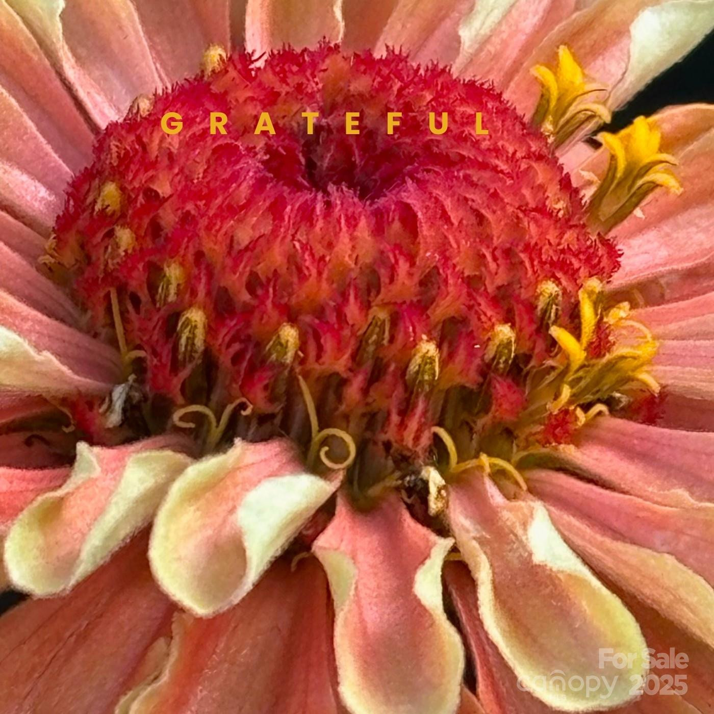 Lot 69 Whisper Mountain Drive - Photo 31