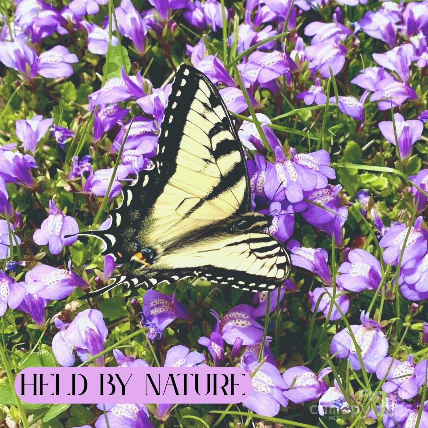 Lot 69 Whisper Mountain Drive - Photo 32