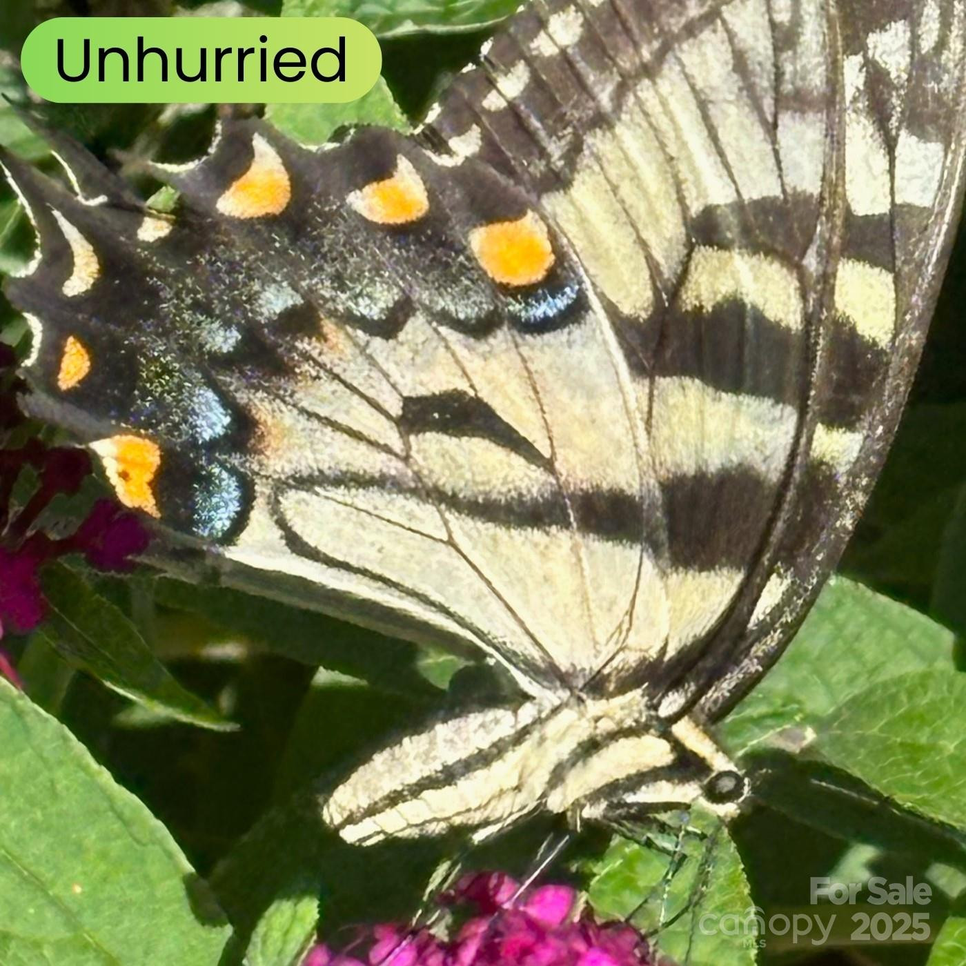 Lot 69 Whisper Mountain Drive - Photo 33