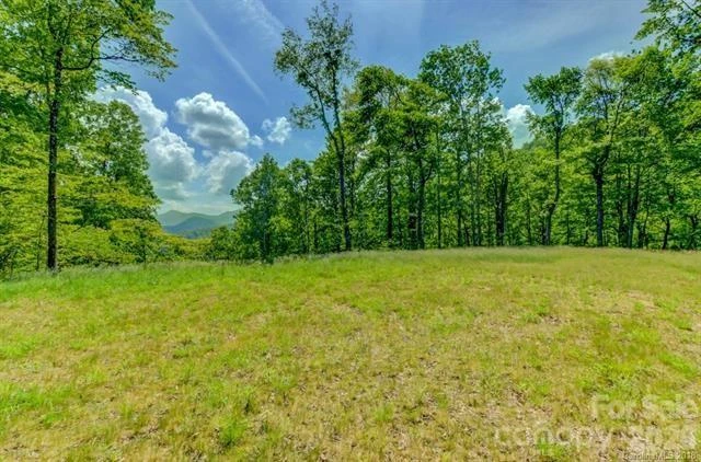 Lot 69 Whisper Mountain Drive - Photo 4