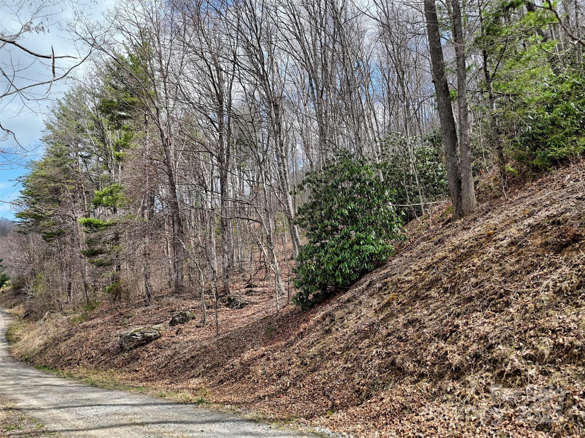 TBD Moonbeam Lane #101 & 102 - Photo 11