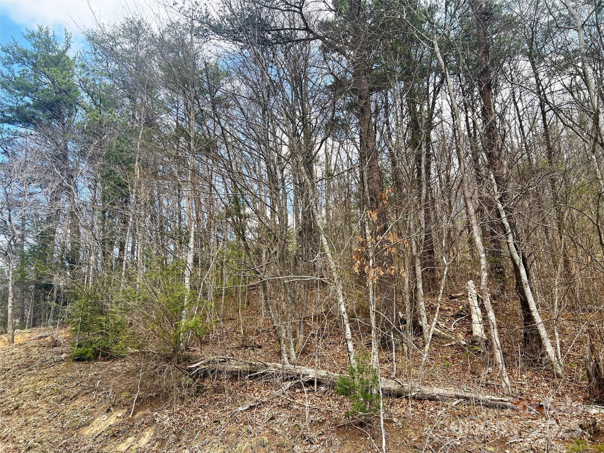 TBD Moonbeam Lane #101 & 102 - Photo 12