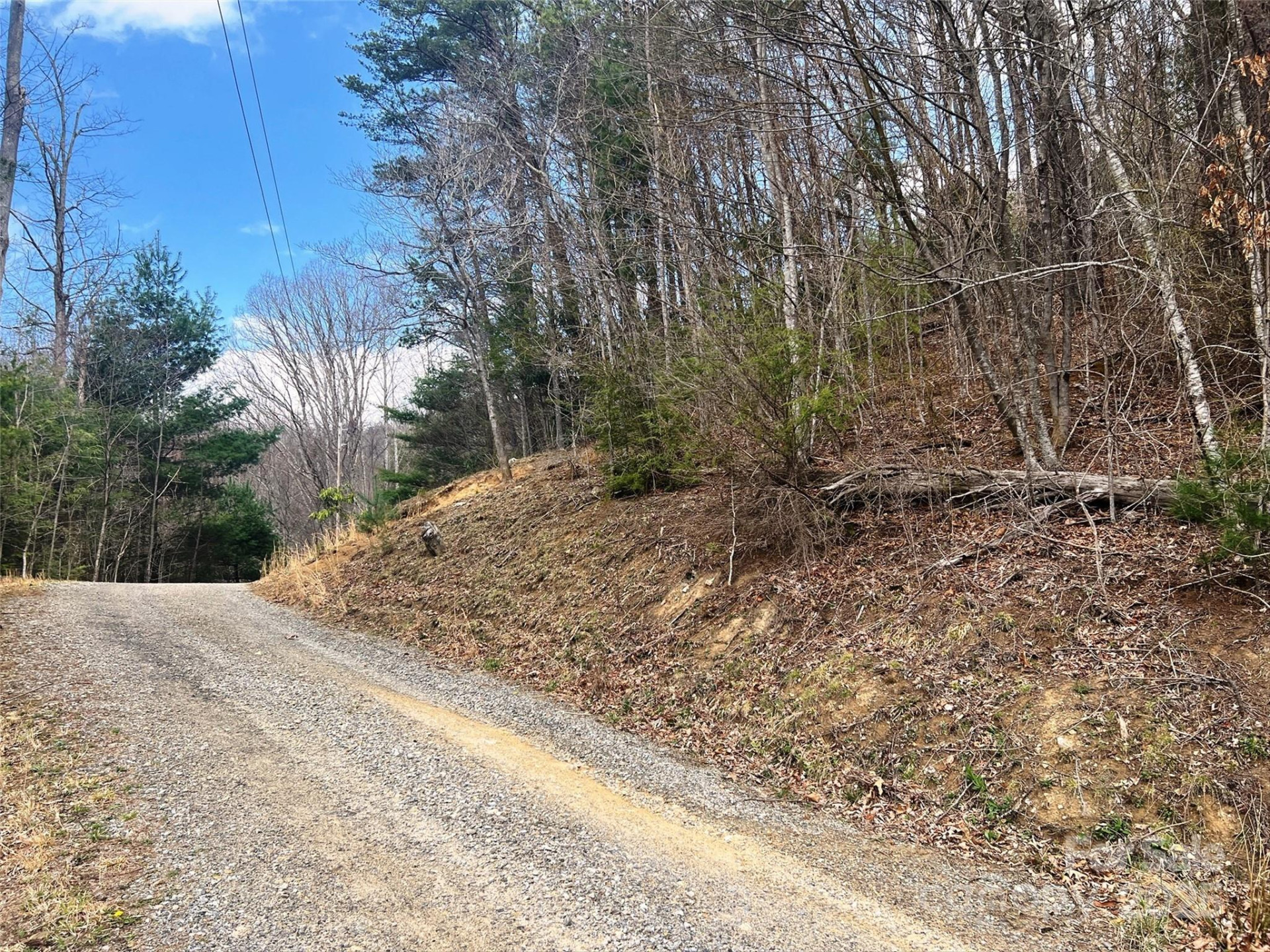 TBD Moonbeam Lane #101 & 102 - Photo 13