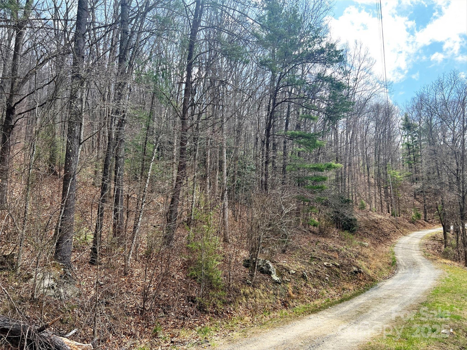 TBD Moonbeam Lane #101 & 102 - Photo 14