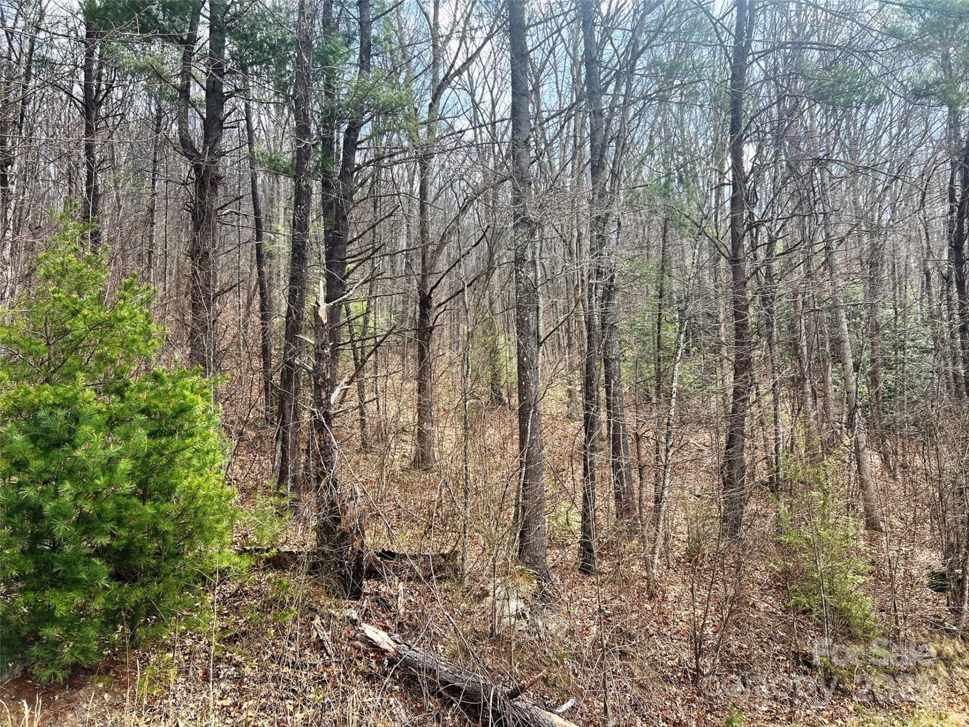 TBD Moonbeam Lane #101 & 102 - Photo 15